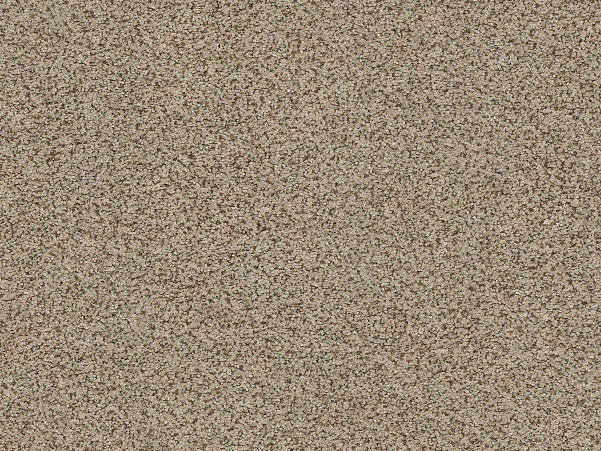 Serenity Cove Carpet - Hiking Trail Zoomed Swatch Thumbnail