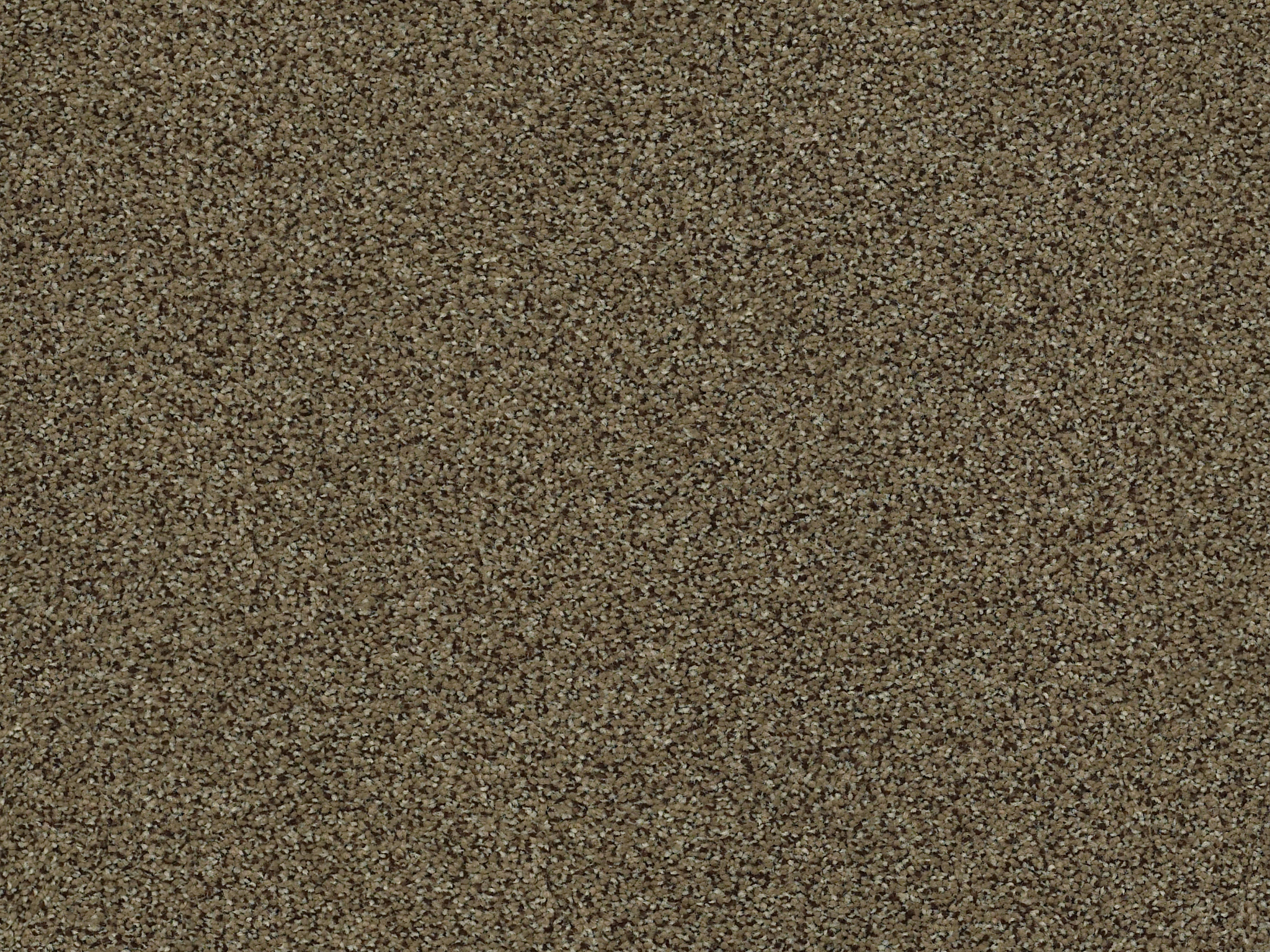 Serenity Cove Carpet - Hearth Zoomed Swatch Image