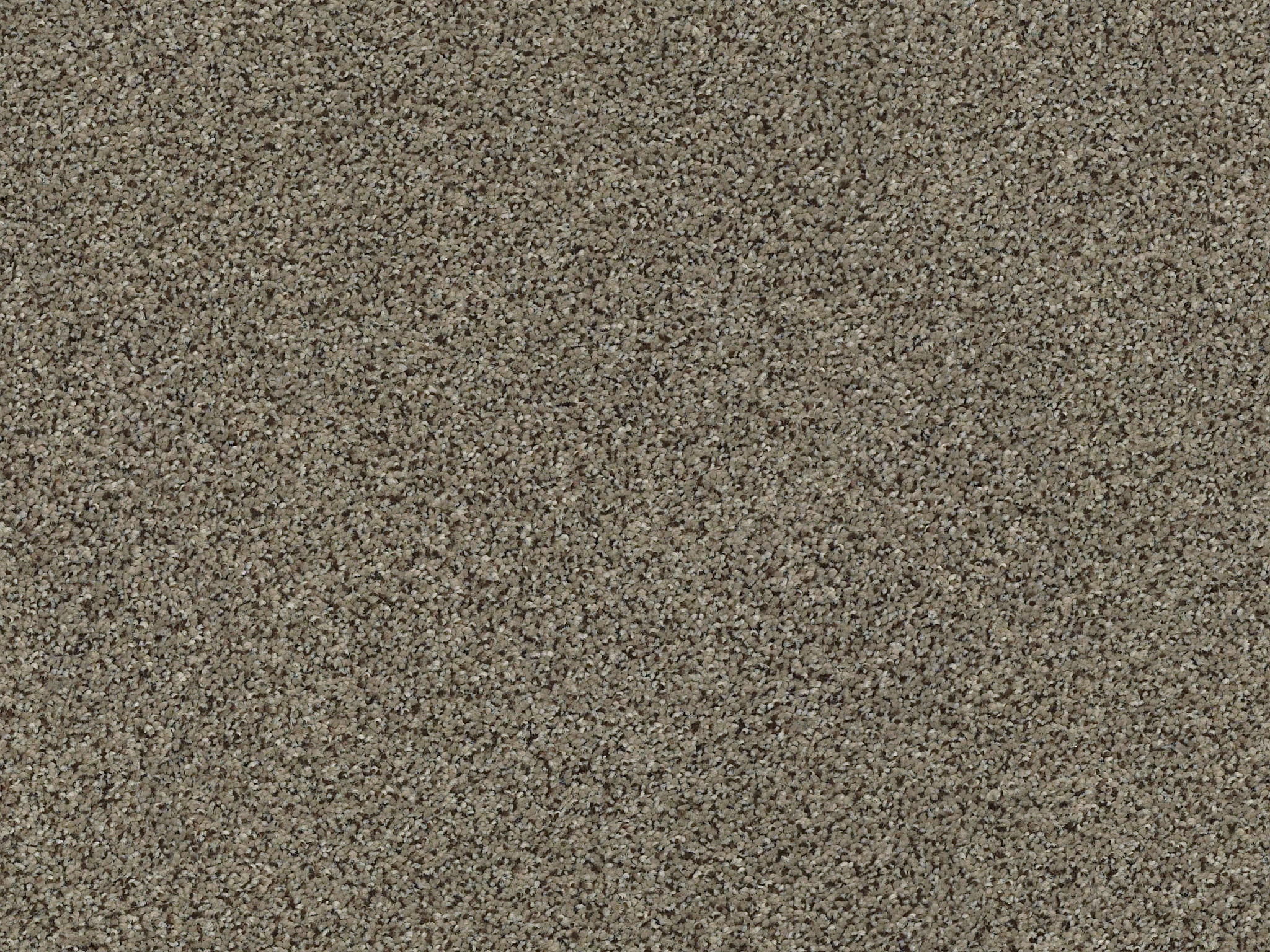 Serenity Cove Carpet - Sleek Suede Zoomed Swatch Image