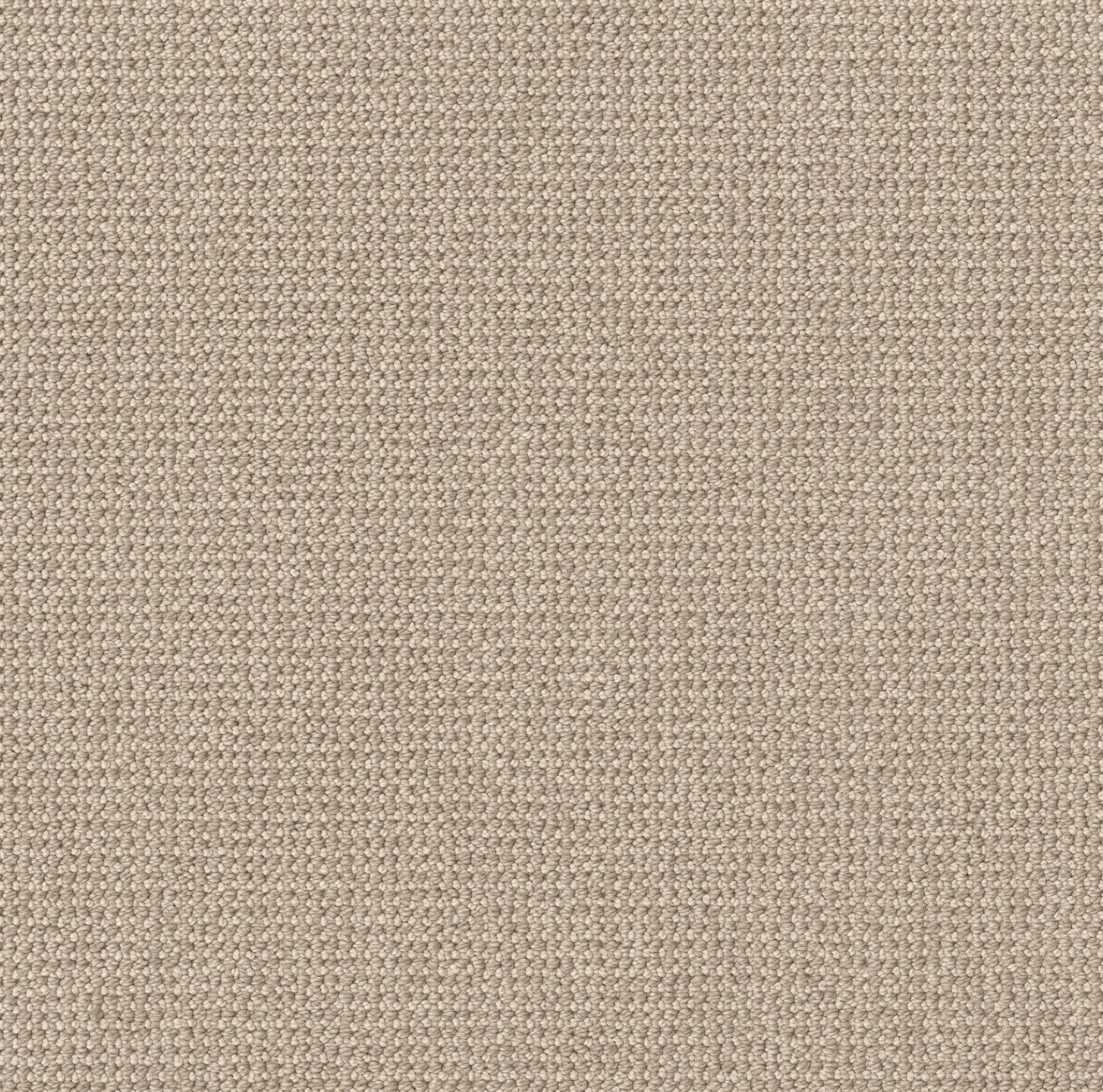 Purrfection Carpet - Champagne Zoomed Swatch Image