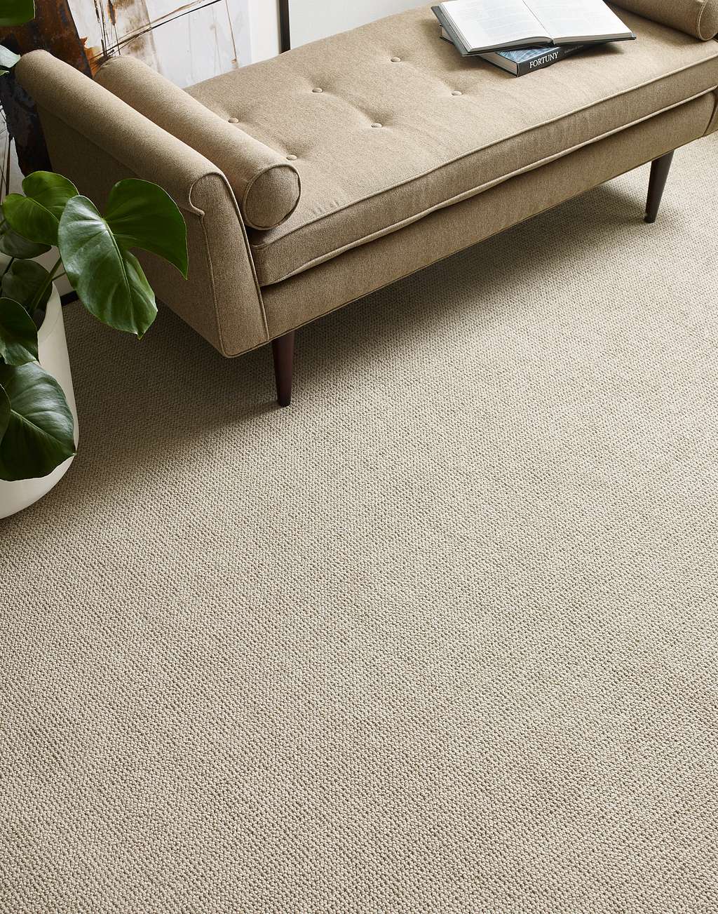 Purrfection Carpet - Champagne Room Scene Image
