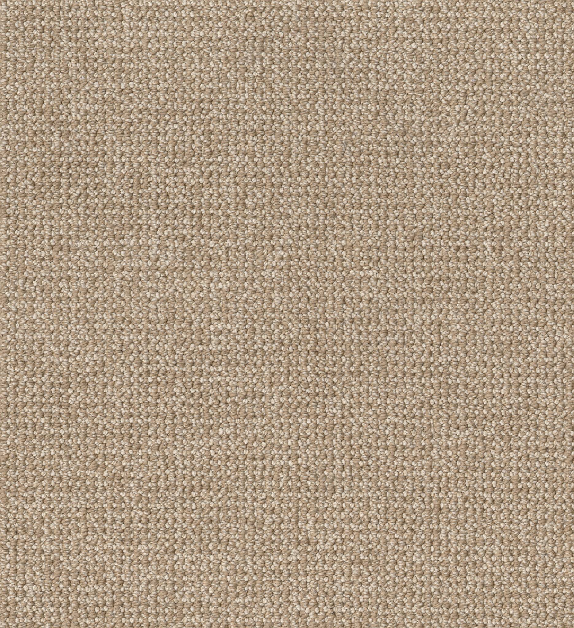 Purrfection Carpet - Great Plains Zoomed Swatch Image