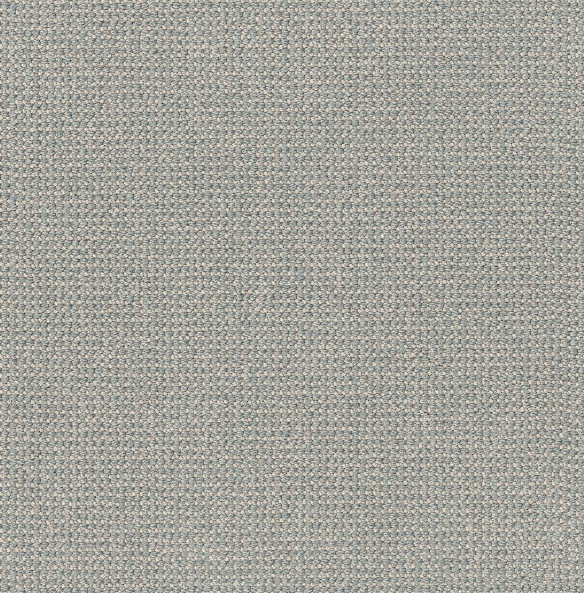 Purrfection Carpet - Solitude Zoomed Swatch Image