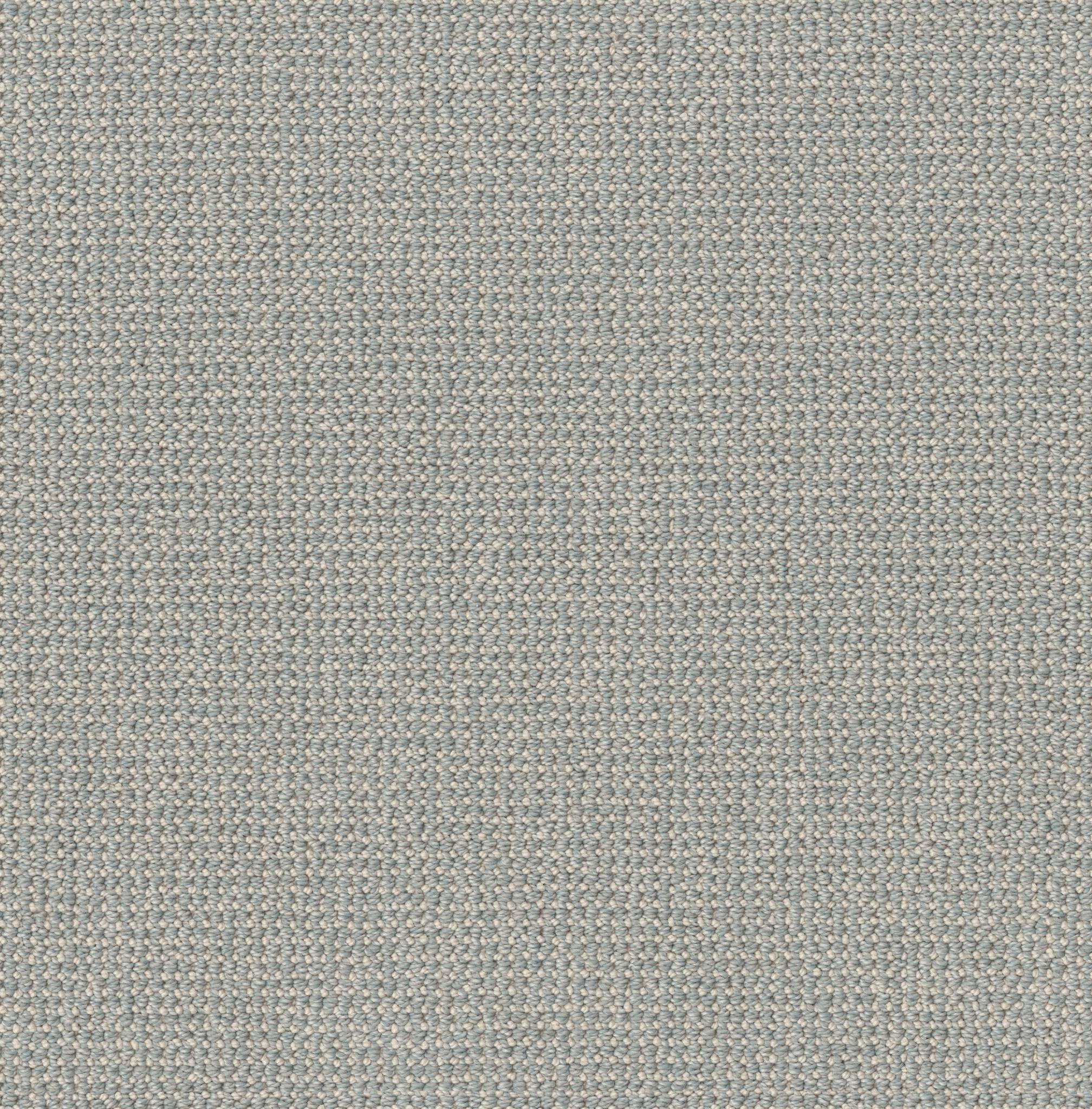 Purrfection Carpet - Solitude Zoomed Swatch Image