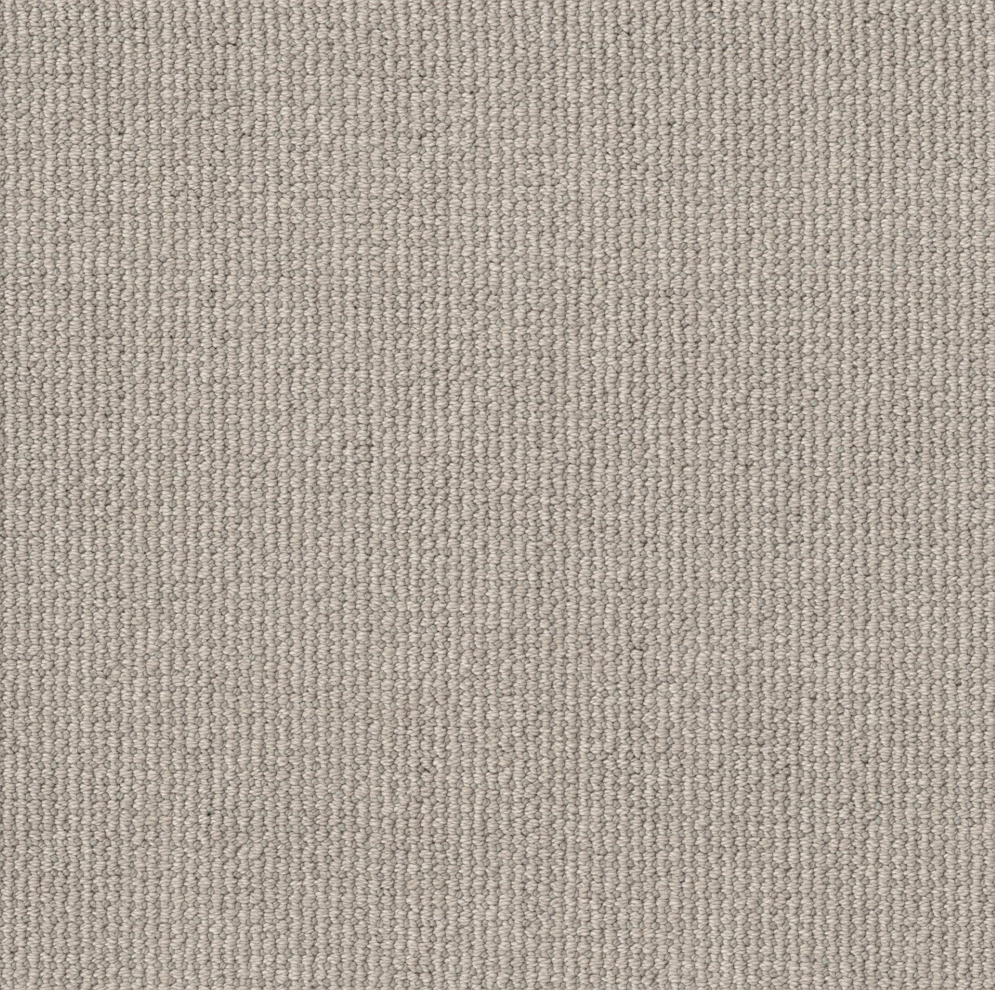 Purrfection Carpet - Silver Birch Zoomed Swatch Image