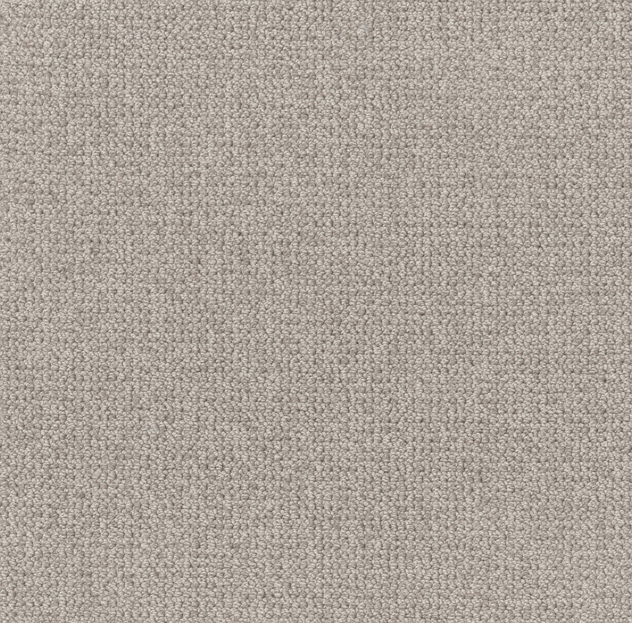Purrfection Carpet - Flagstone Zoomed Swatch Image