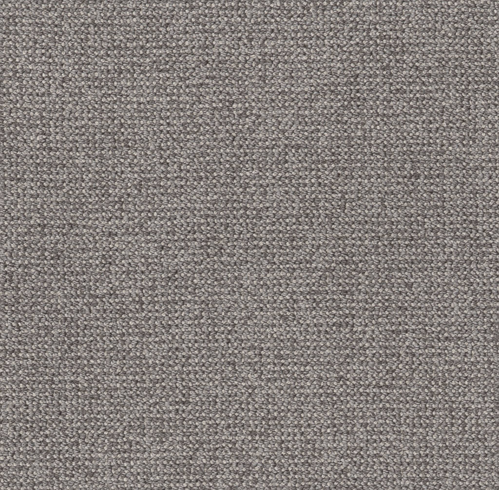 Purrfection Carpet - Willow Zoomed Swatch Image