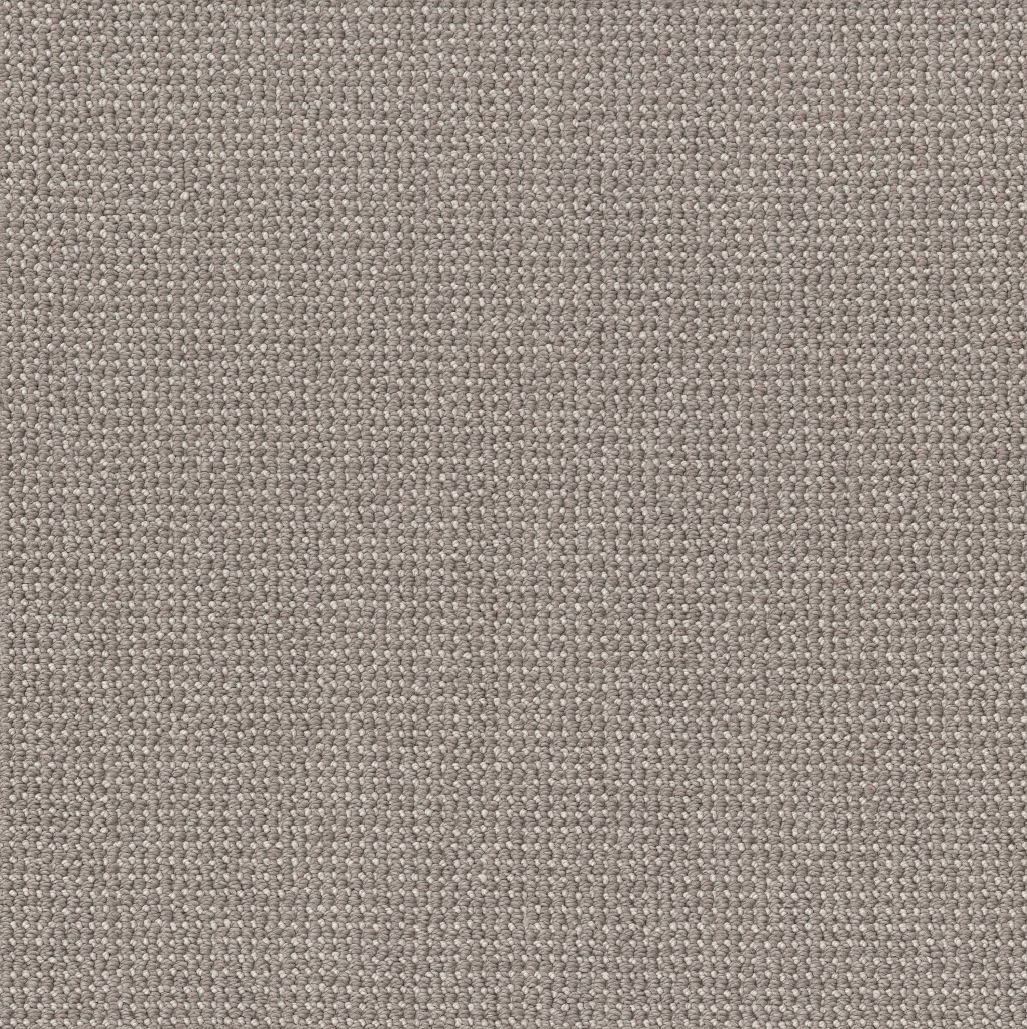 Purrfection Carpet - Metropolis Zoomed Swatch Image