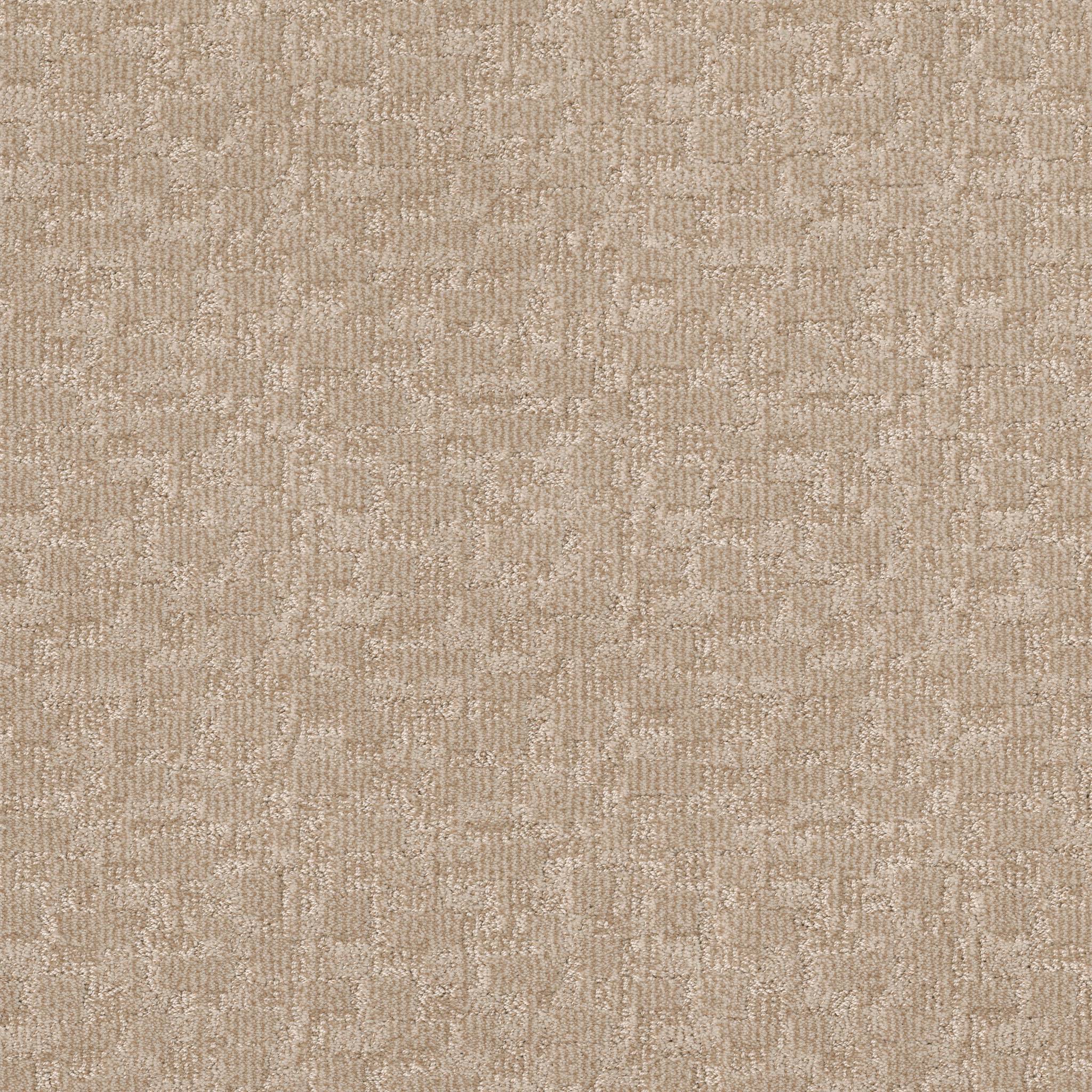 Paw-tay Carpet - Old Country Zoomed Swatch Image