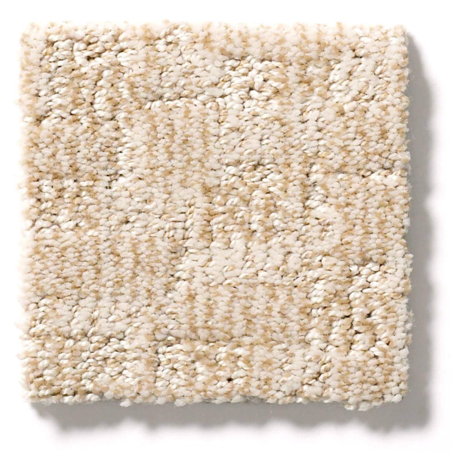 Paw-tay Carpet - Old Country Swatch Thumbnail pupop1