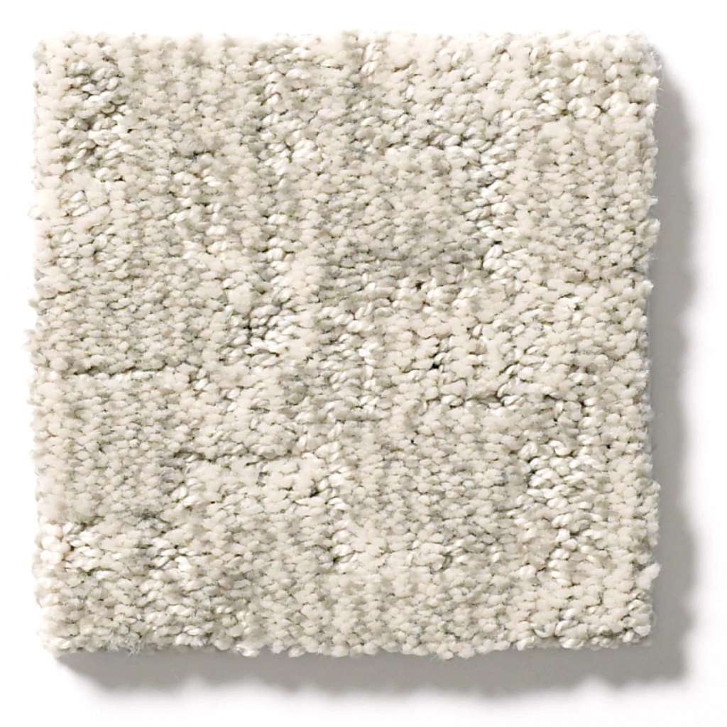 Paw-tay Carpet - Bennington  Swatch Image 