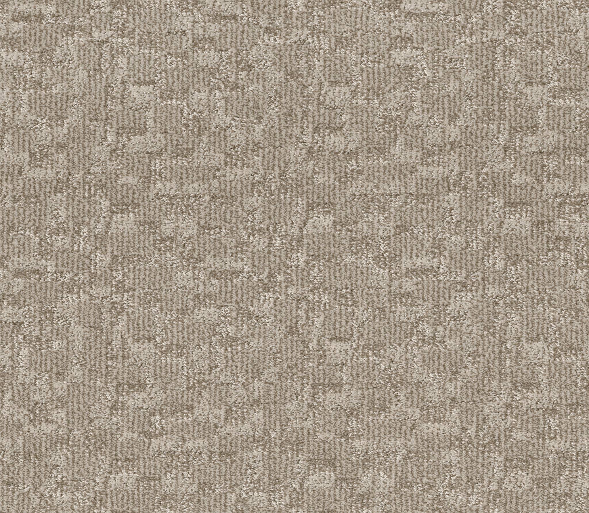 Paw-tay Carpet - Birch Zoomed Swatch Image