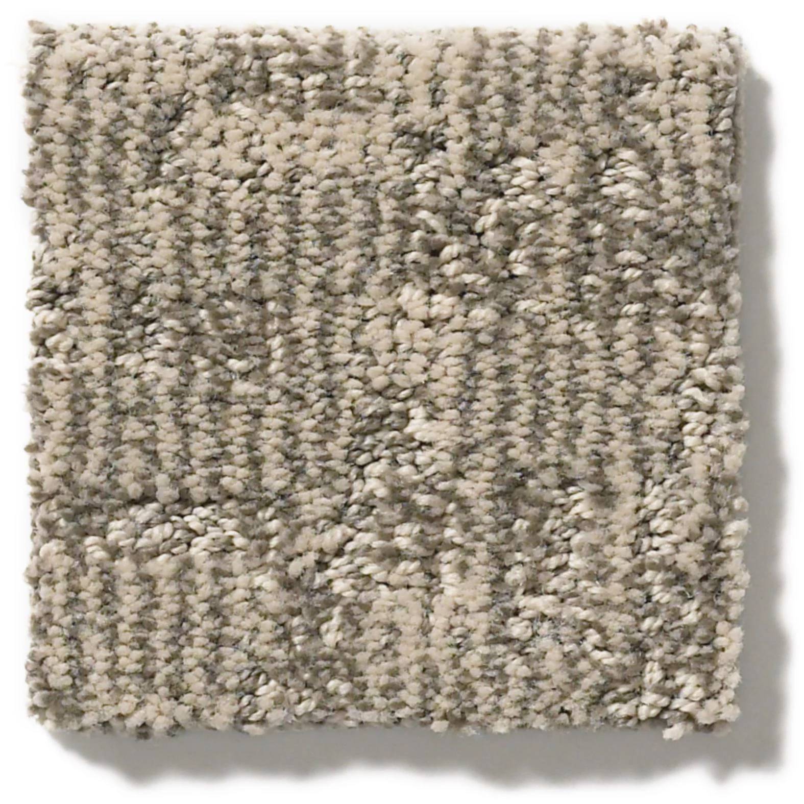 Paw-tay Carpet - Danville Swatch Thumbnail pupop1
