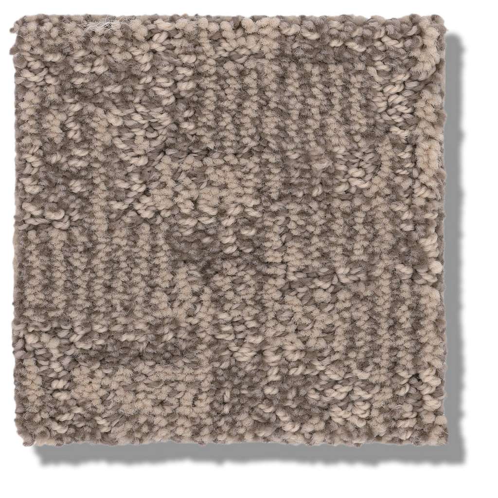 Paw-tay Carpet - Danville  Swatch Image 