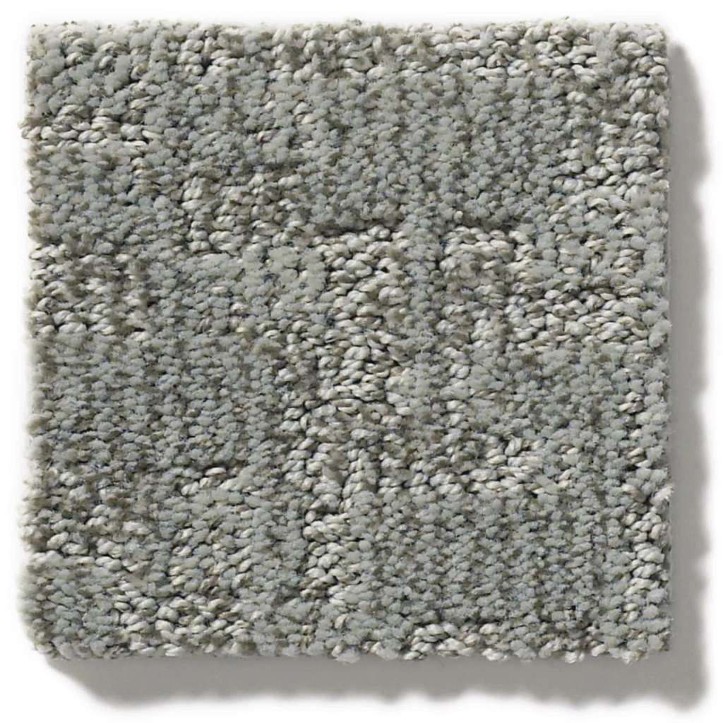 Paw-tay Carpet - Avon  Swatch Image 