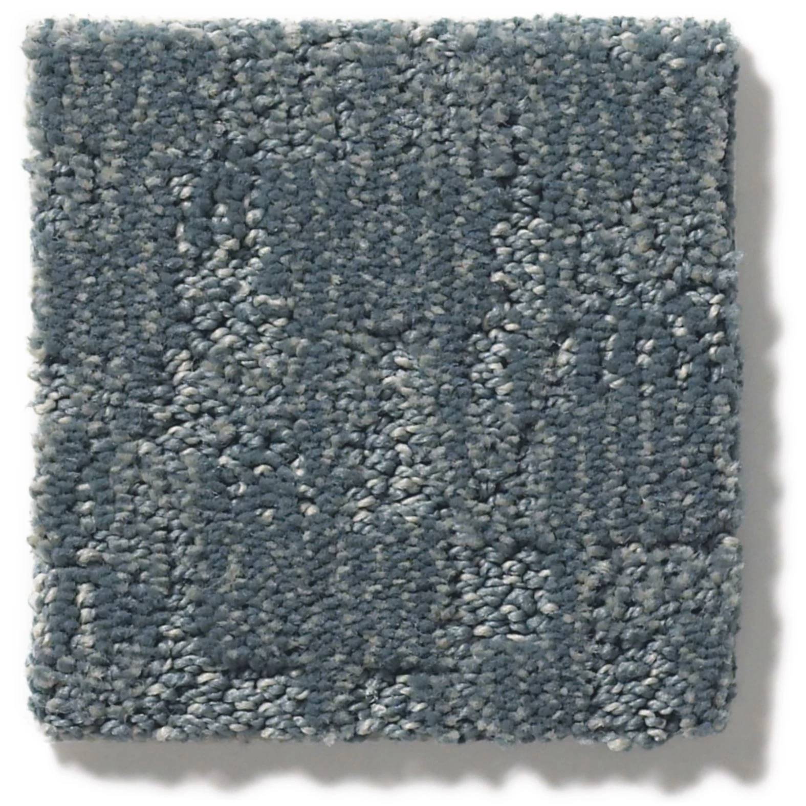 Paw-tay Carpet - Waterbury Swatch Thumbnail pupop1