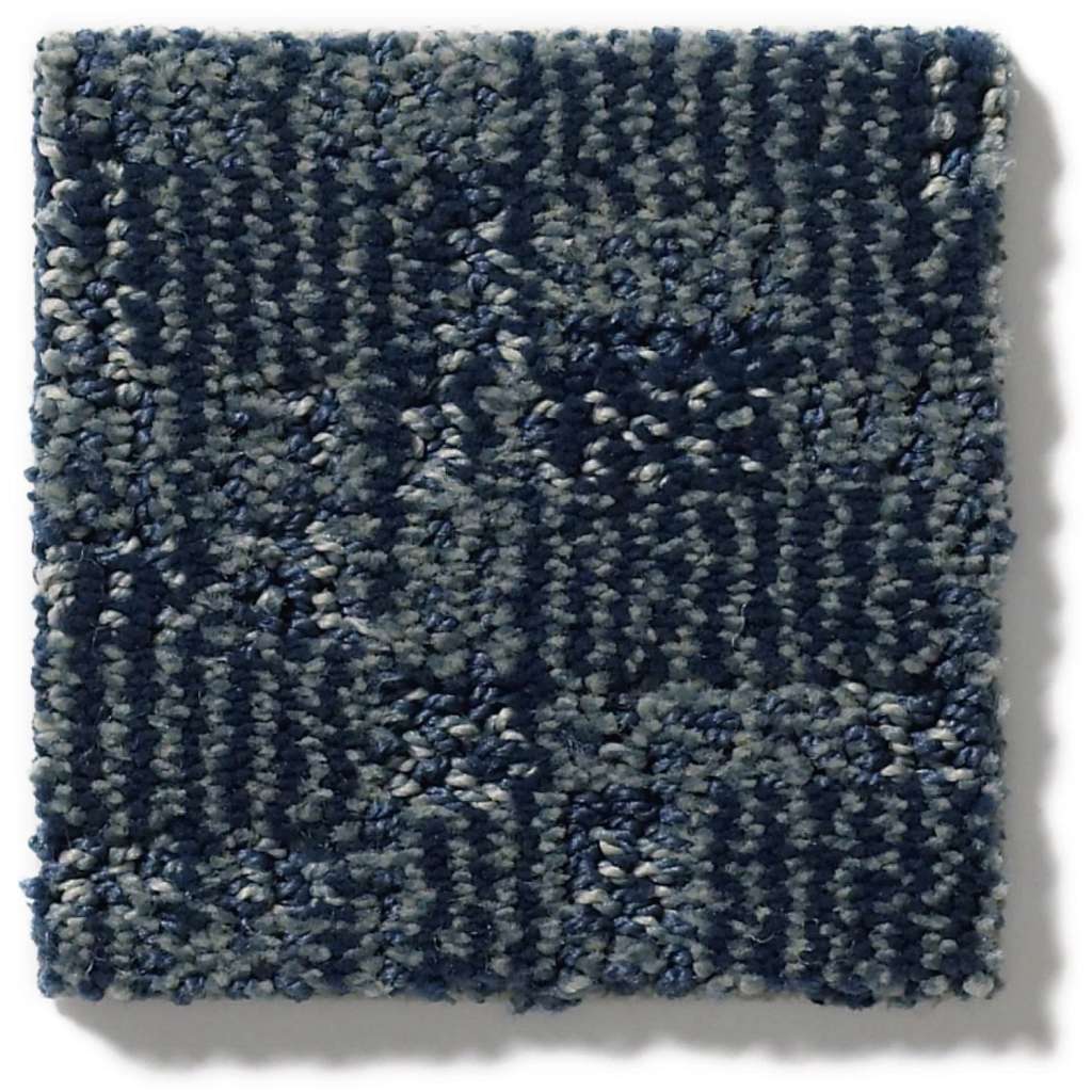 Paw-tay Carpet - Hale Navy  Swatch Image 