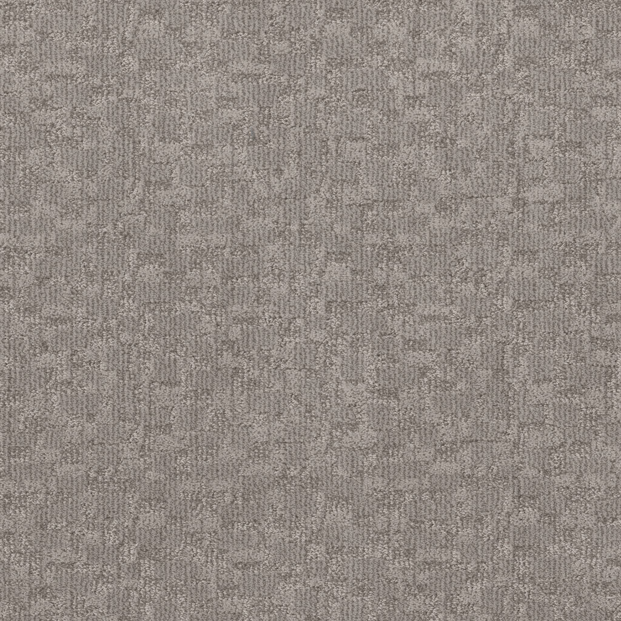 Paw-tay Carpet - Rockport Zoomed Swatch Image