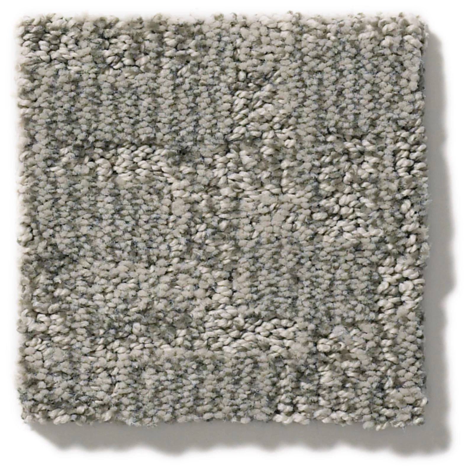 Paw-tay Carpet - Rockport Swatch Thumbnail pupop1