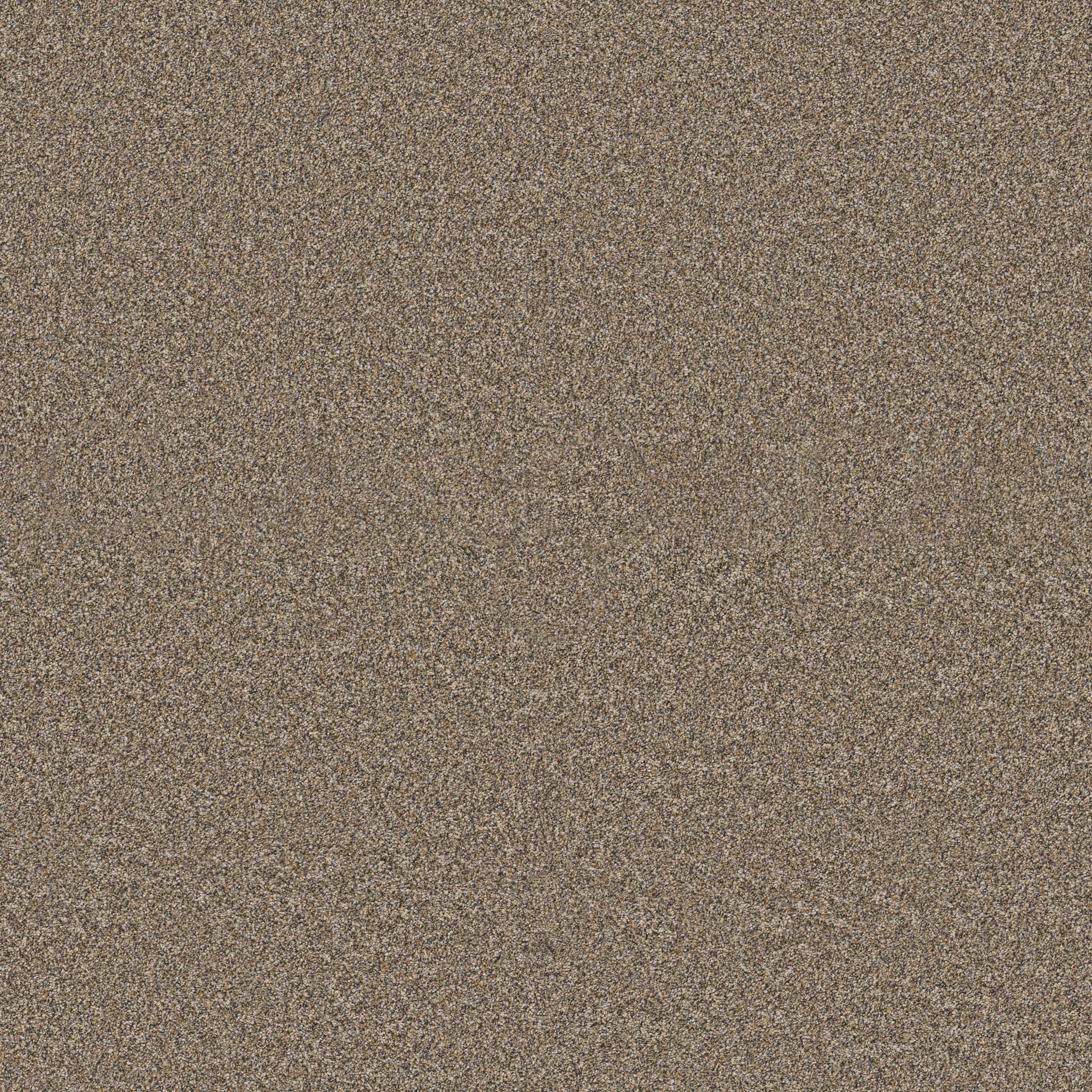 Kaleidoscope Carpet - Shimmering Zoomed Swatch Image