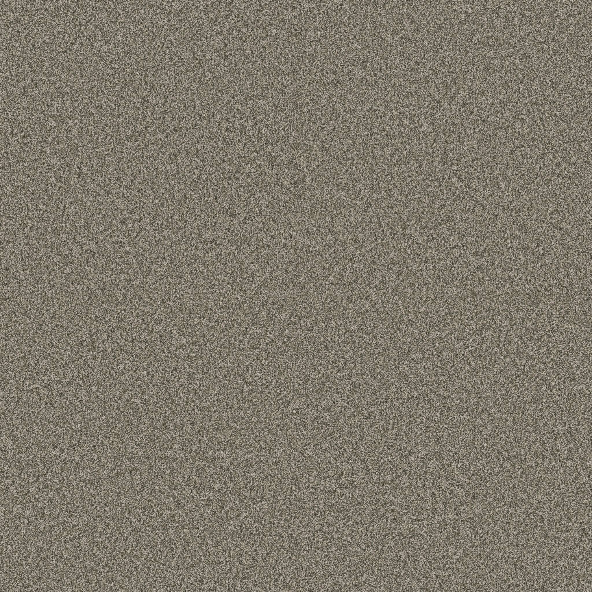 Kaleidoscope Carpet - Cool Dill Zoomed Swatch Image