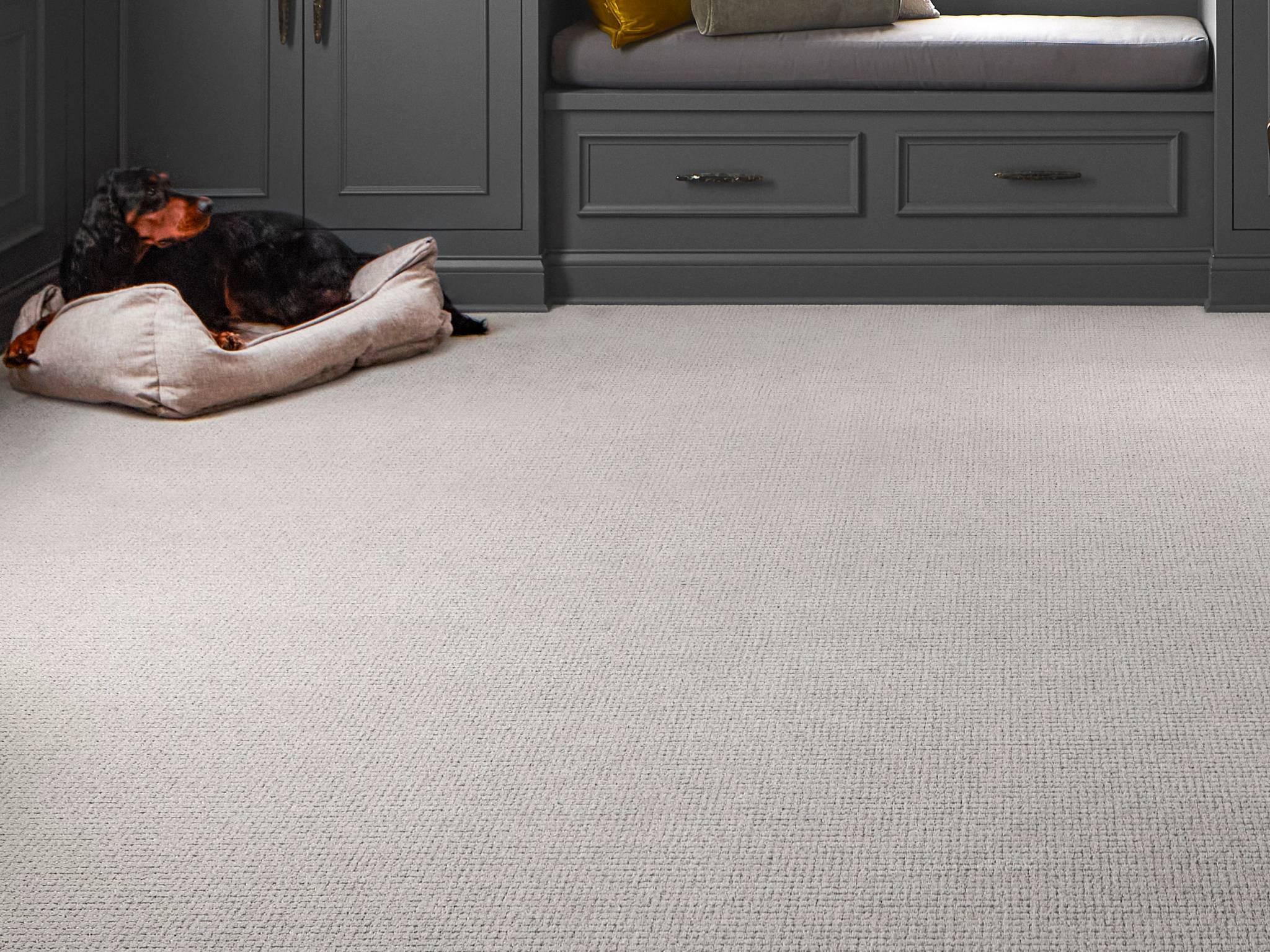 Style - Lyric,  Color - GROUNDED - Room Scene