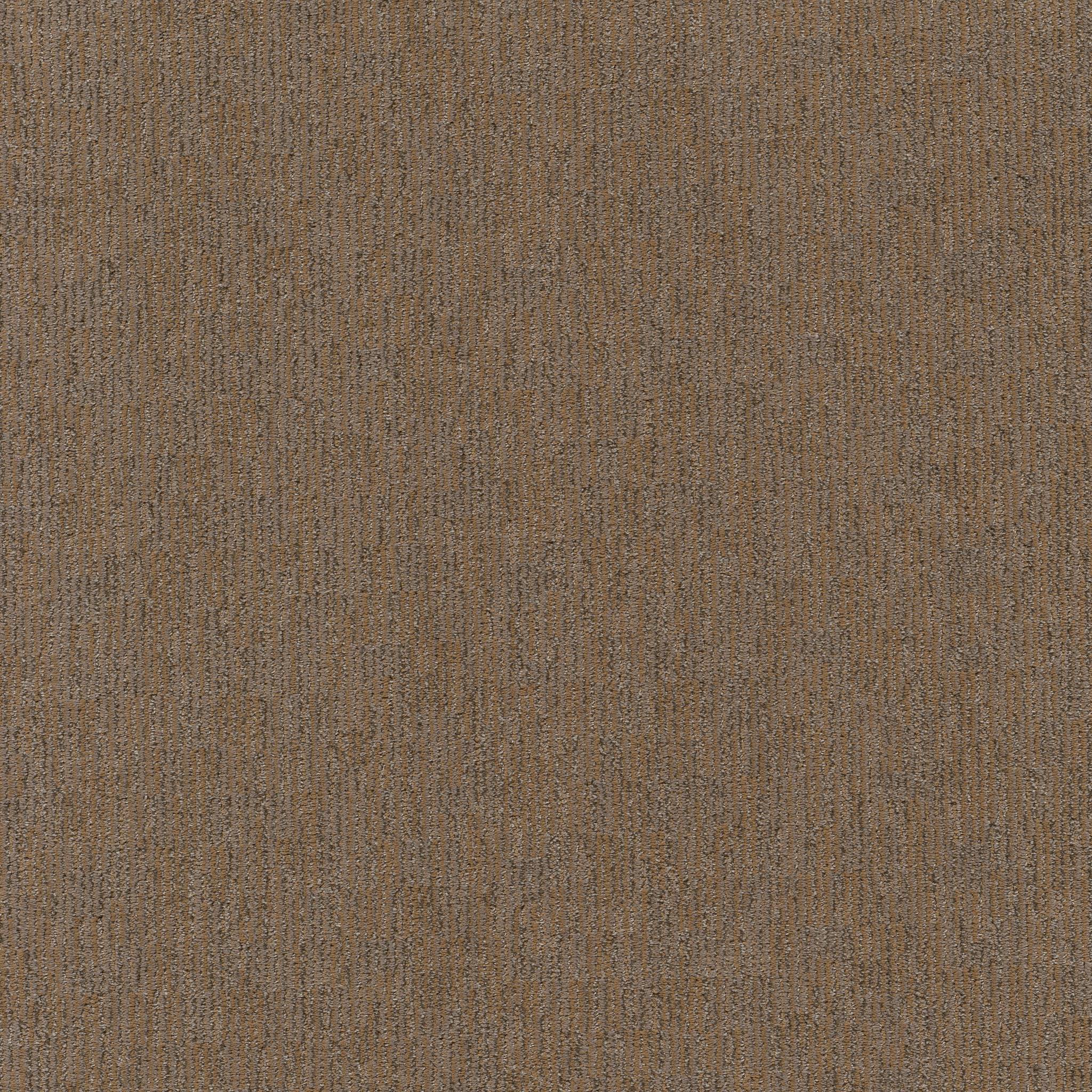 Sneak Peek Carpet - Leather Work Zoomed Swatch Image