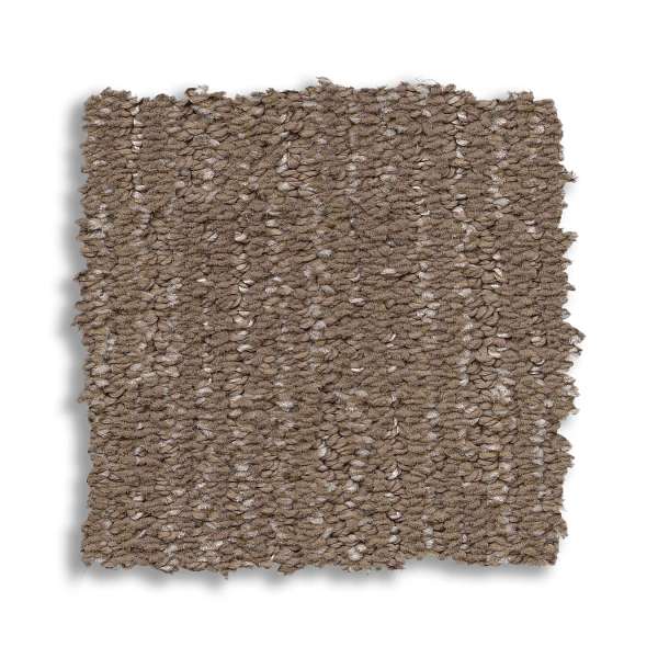 Style Sneak Peek Carpet - Caffeine Swatch