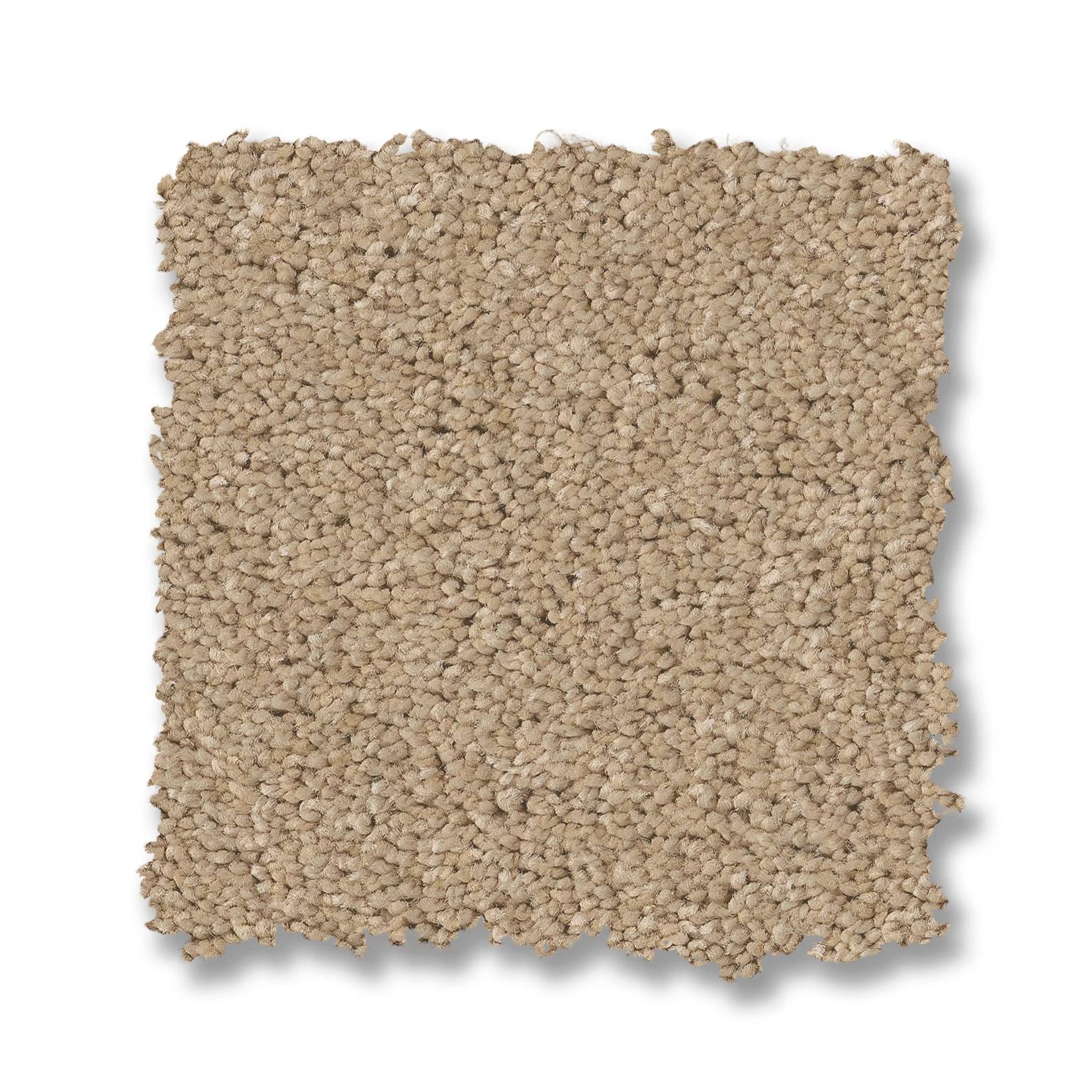 Enchanting Carpet - Transparent Swatch Thumbnail pupop1