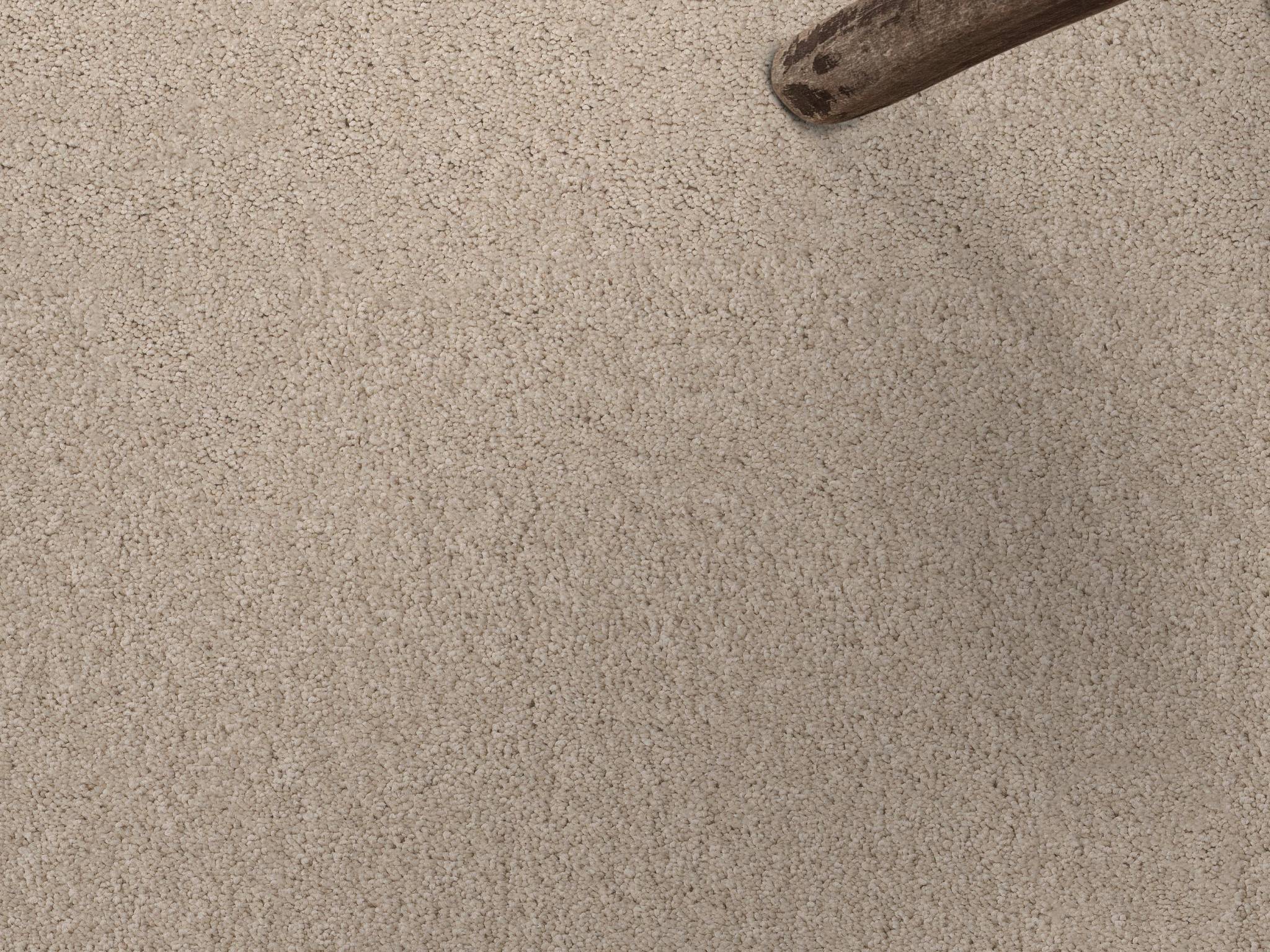 Style - Enchanting,  Color - TAPIOCA - Room Scene