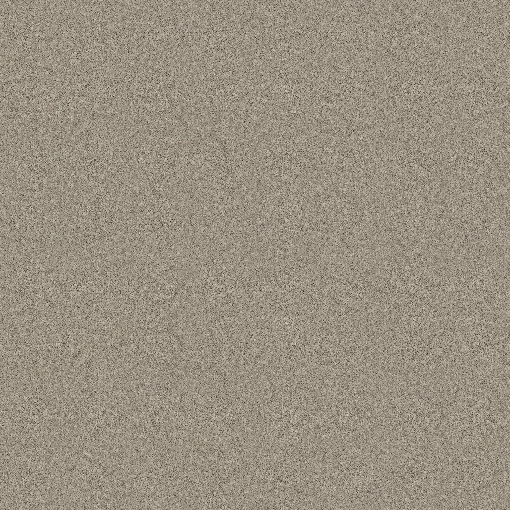 Enchanting Carpet - String Zoomed Swatch Image