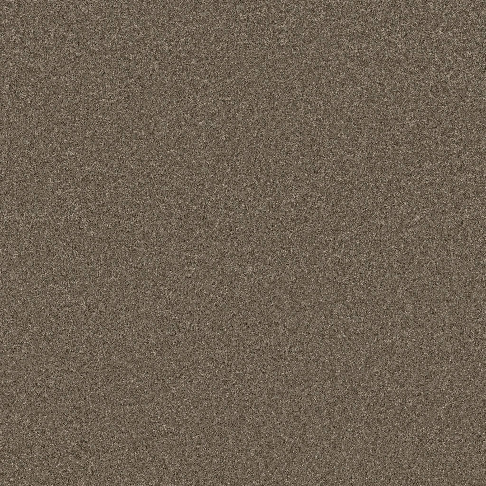 Enchanting Carpet - Moonbeam Zoomed Swatch Image