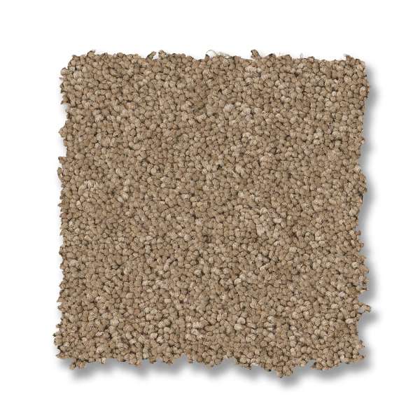 Style Enchanting Carpet - Biscotti Swatch
