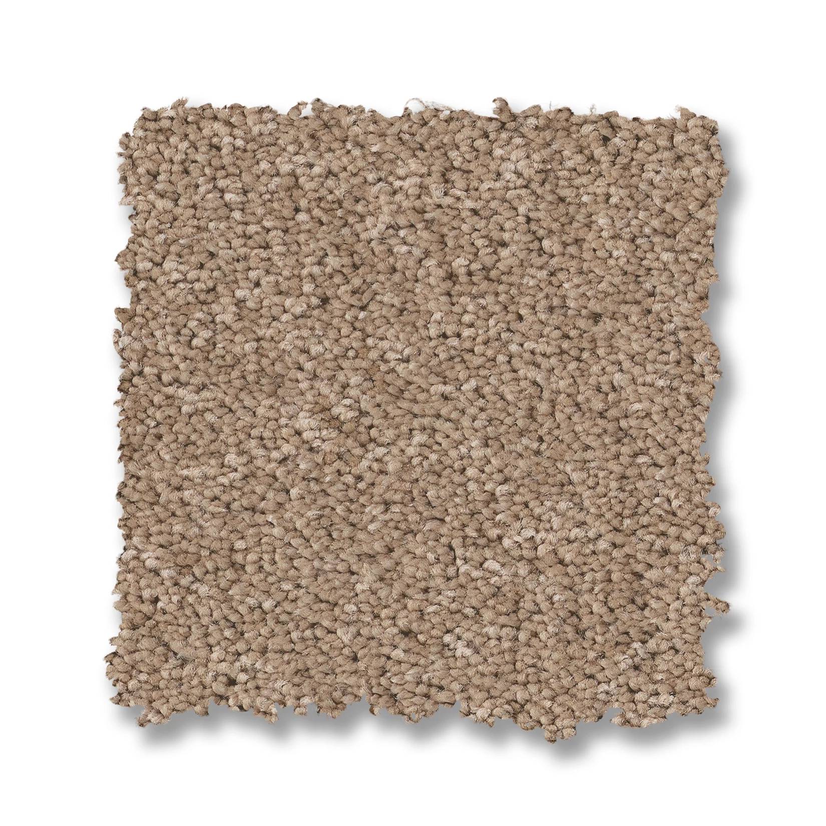 Enchanting Carpet - Warm Sand Swatch Thumbnail pupop1