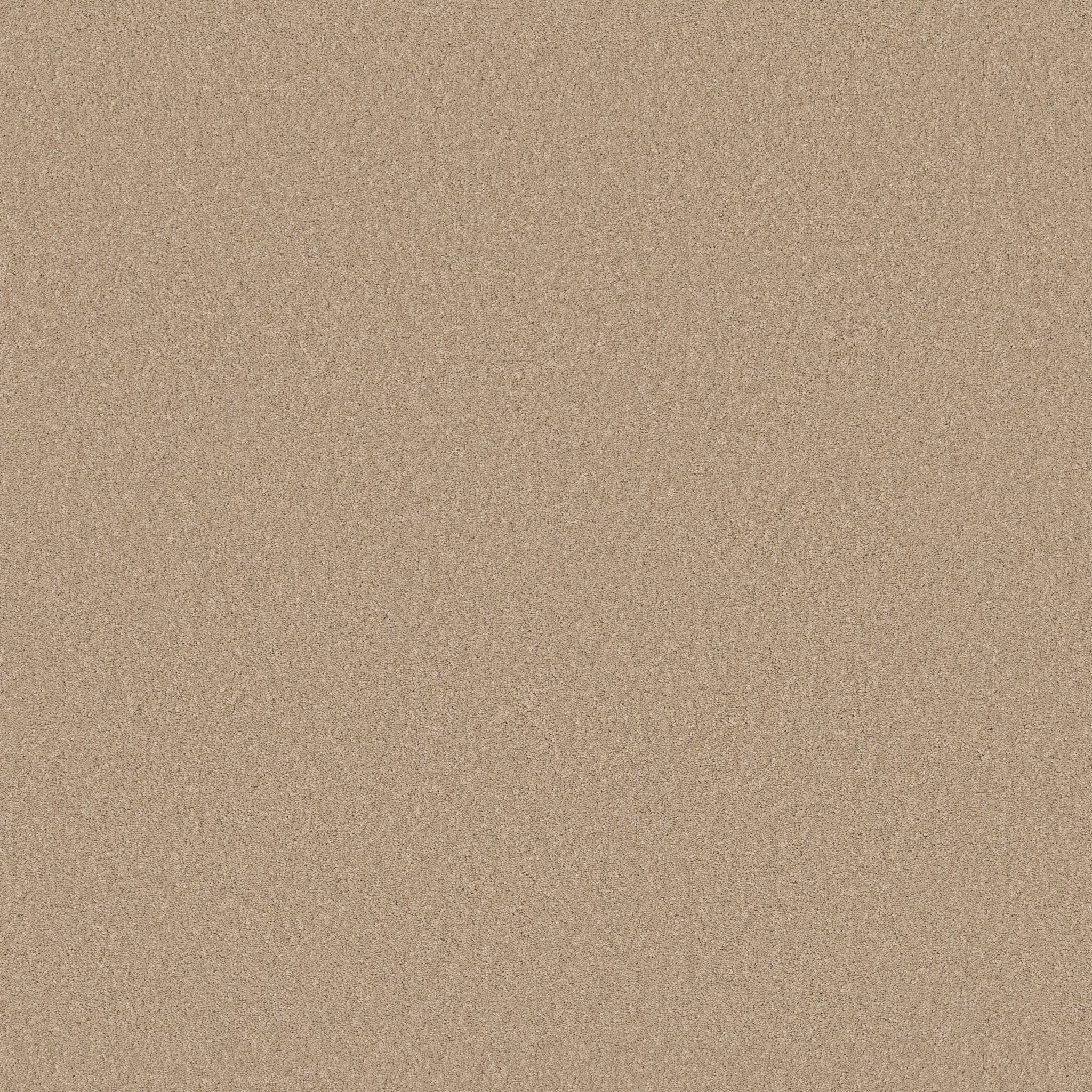 Enduring Charm Carpet - Transparent Zoomed Swatch Image