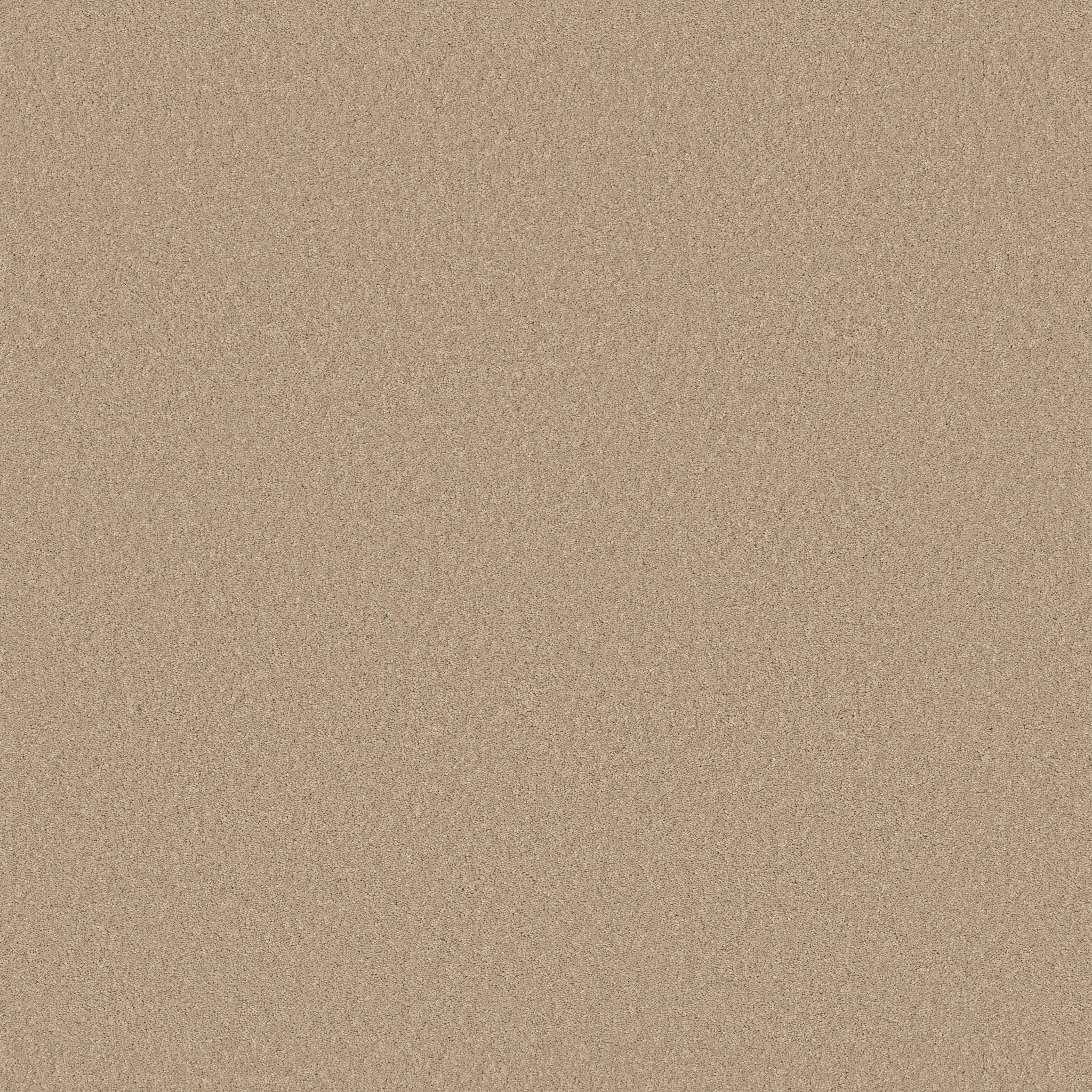 Enduring Charm Carpet - Transparent Zoomed Swatch Image