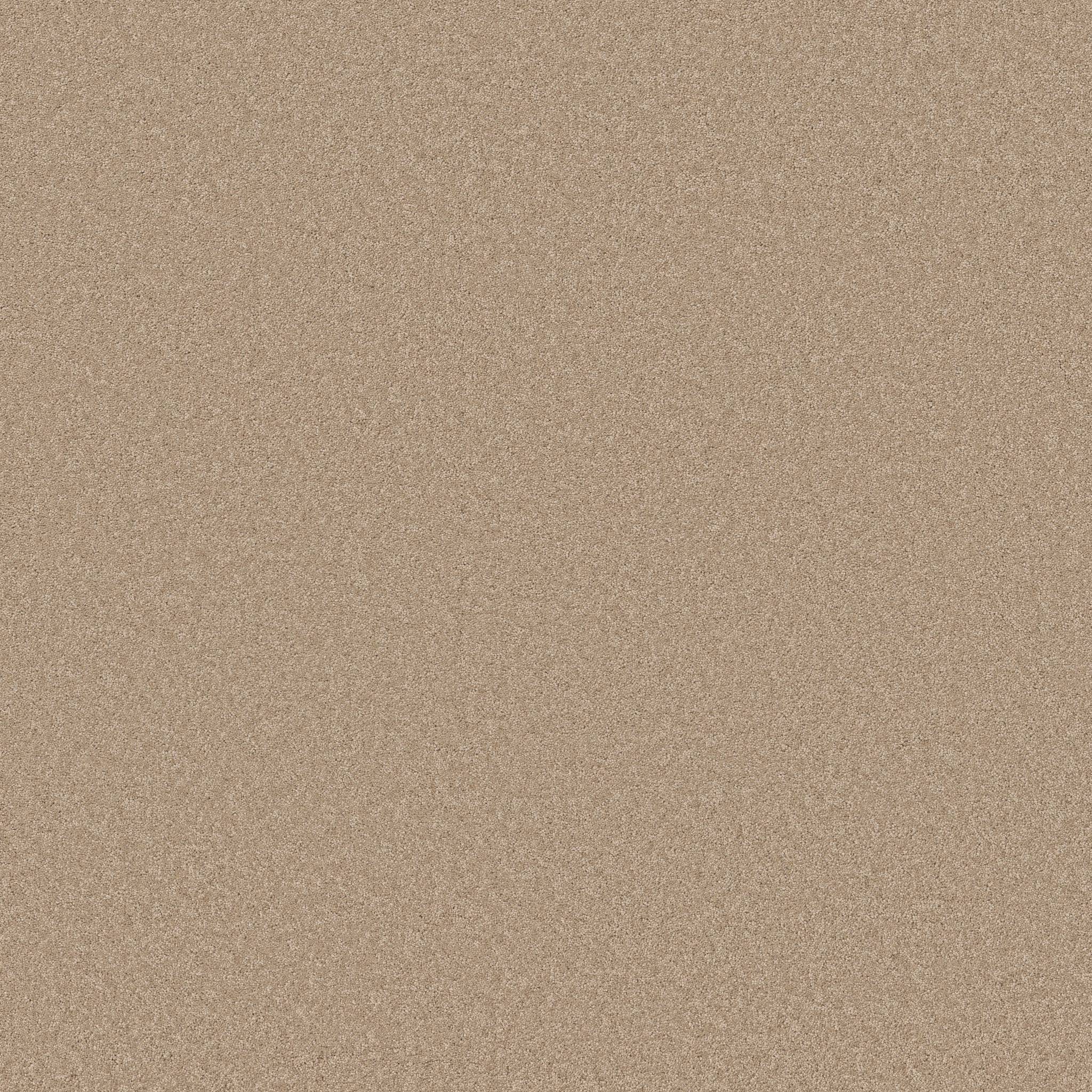 Enduring Charm Carpet - Brulee Zoomed Swatch Image