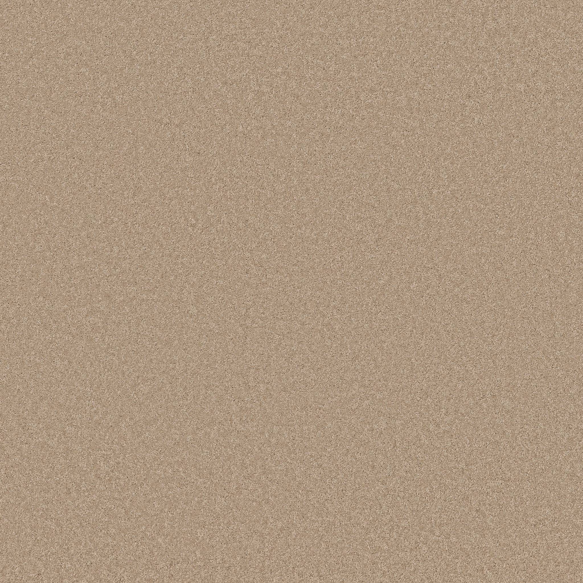 Enduring Charm Carpet - Brulee Zoomed Swatch Image