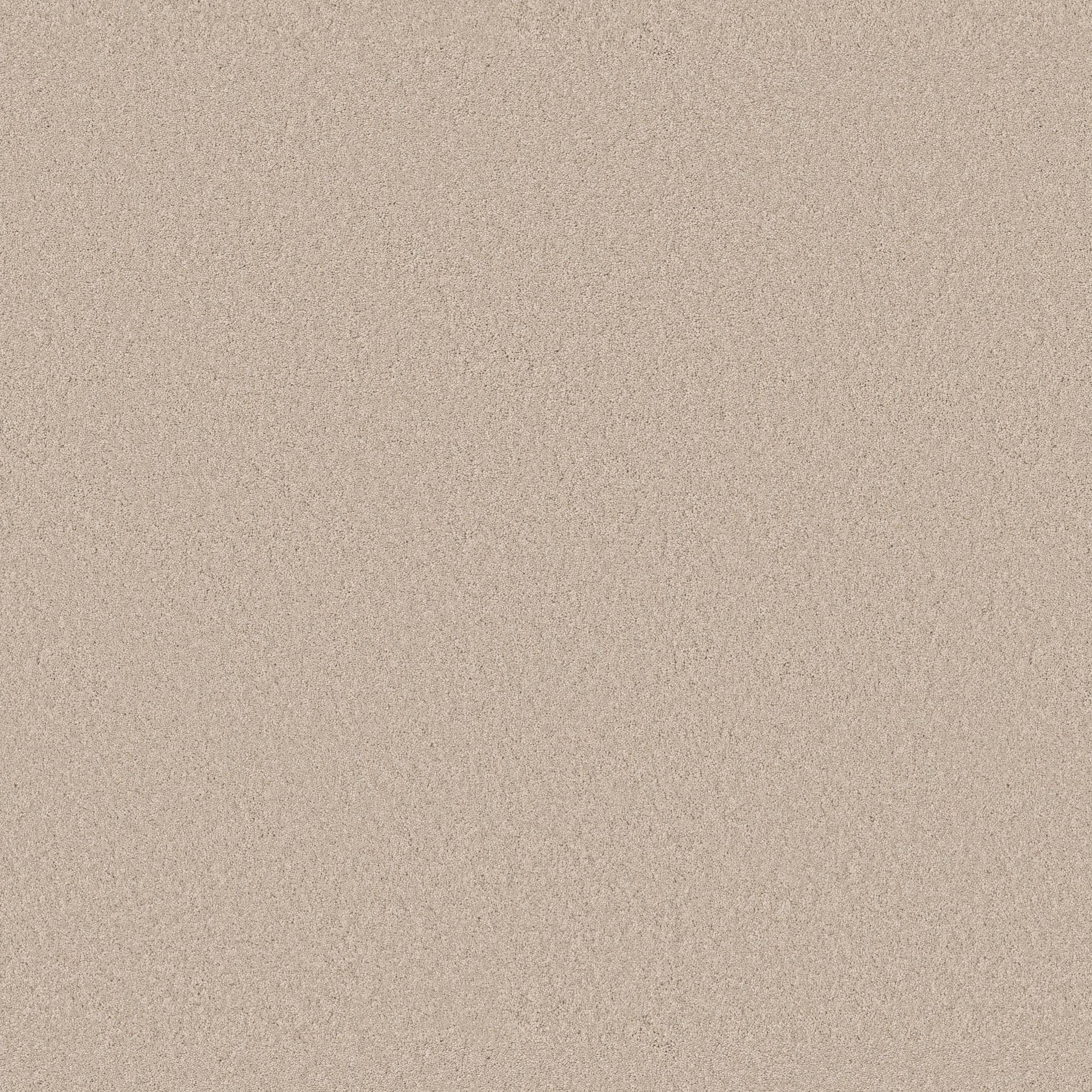 Enduring Charm Carpet - Tapioca Zoomed Swatch Image