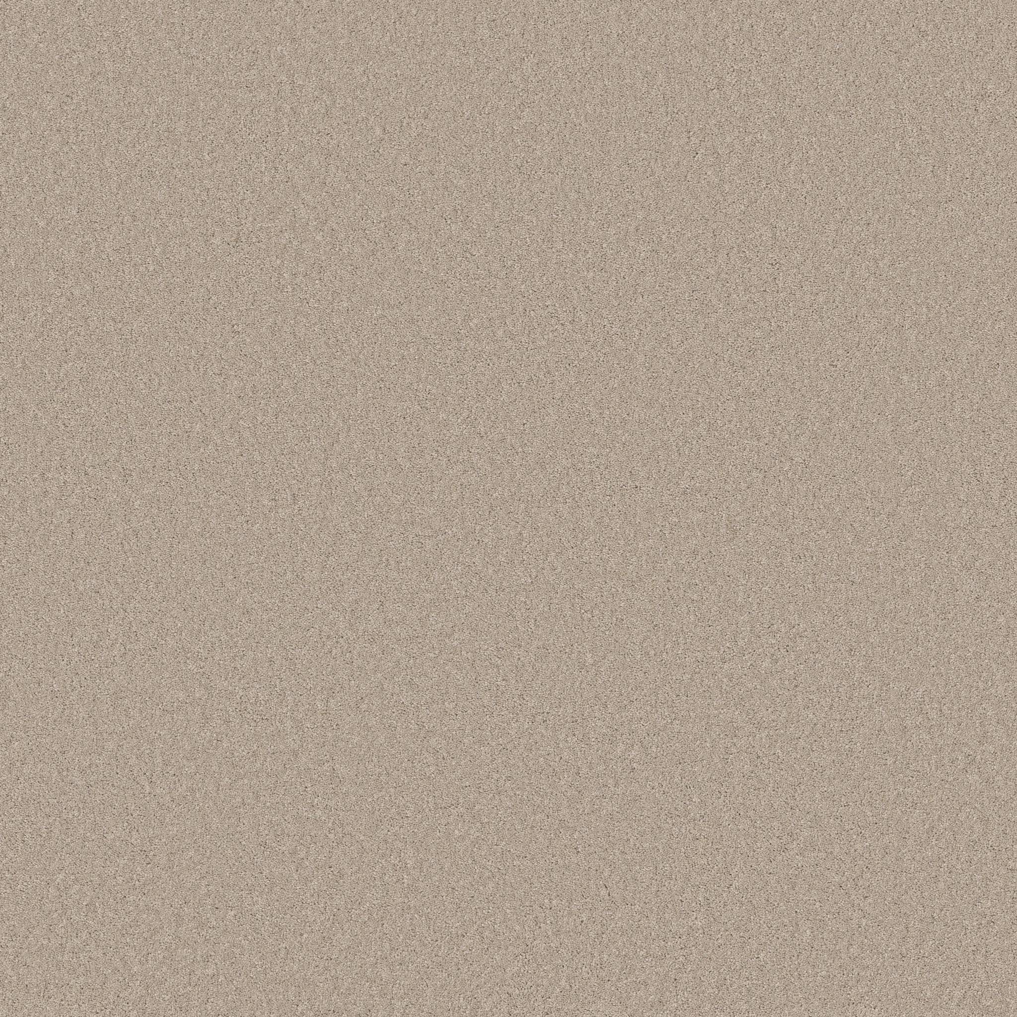 Enduring Charm Carpet - Sandshell Zoomed Swatch Image