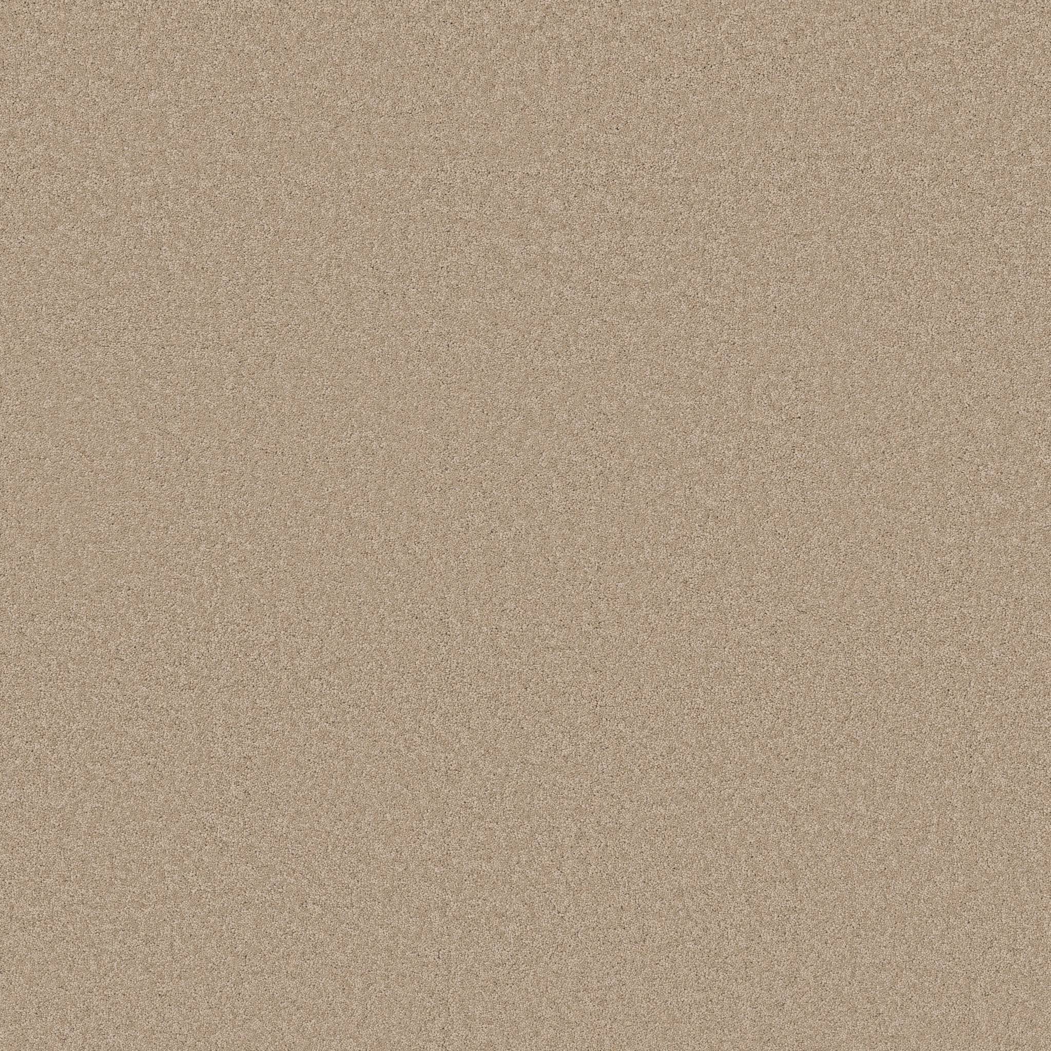 Enduring Charm Carpet - Buff Zoomed Swatch Image
