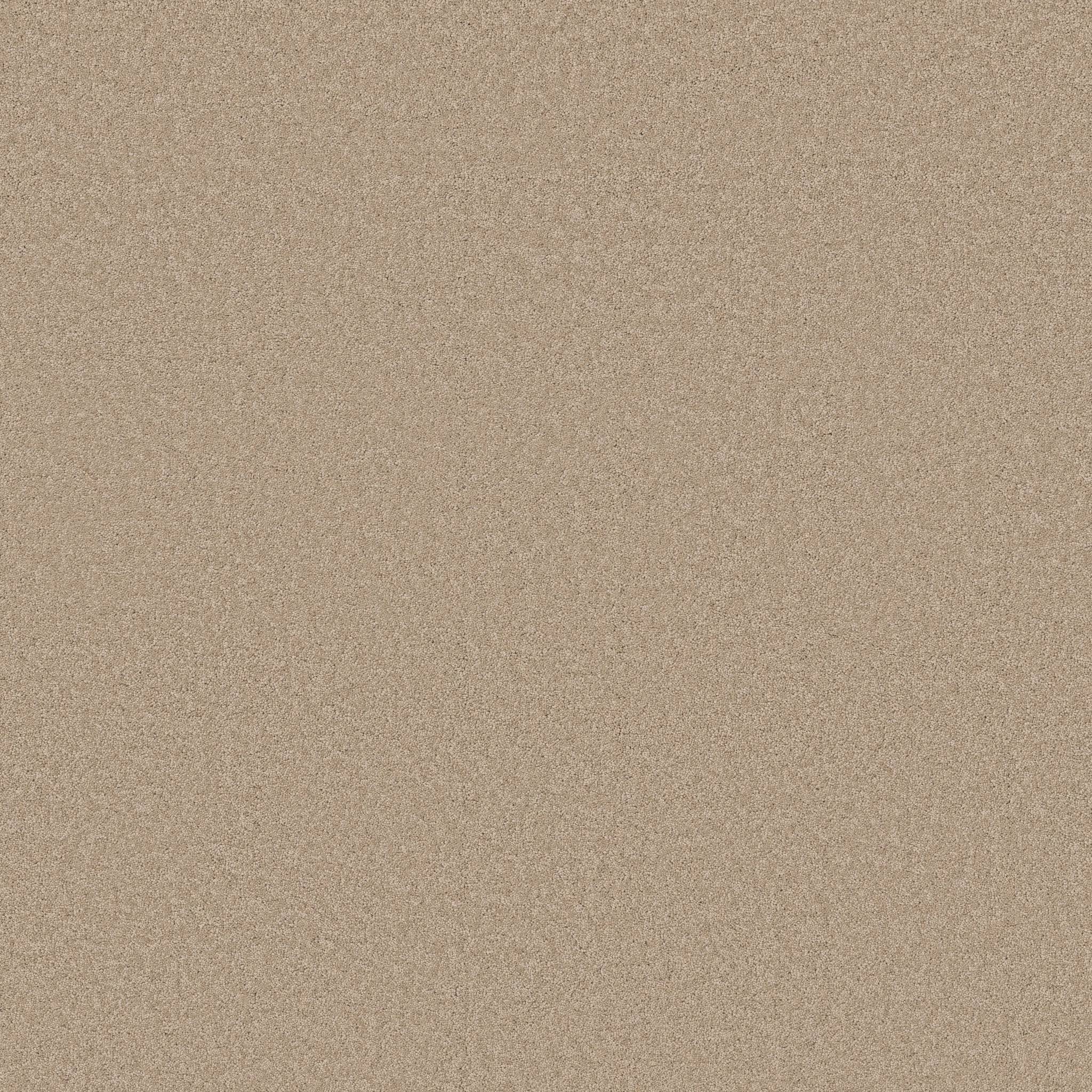 Enduring Charm Carpet - Buff Zoomed Swatch Image