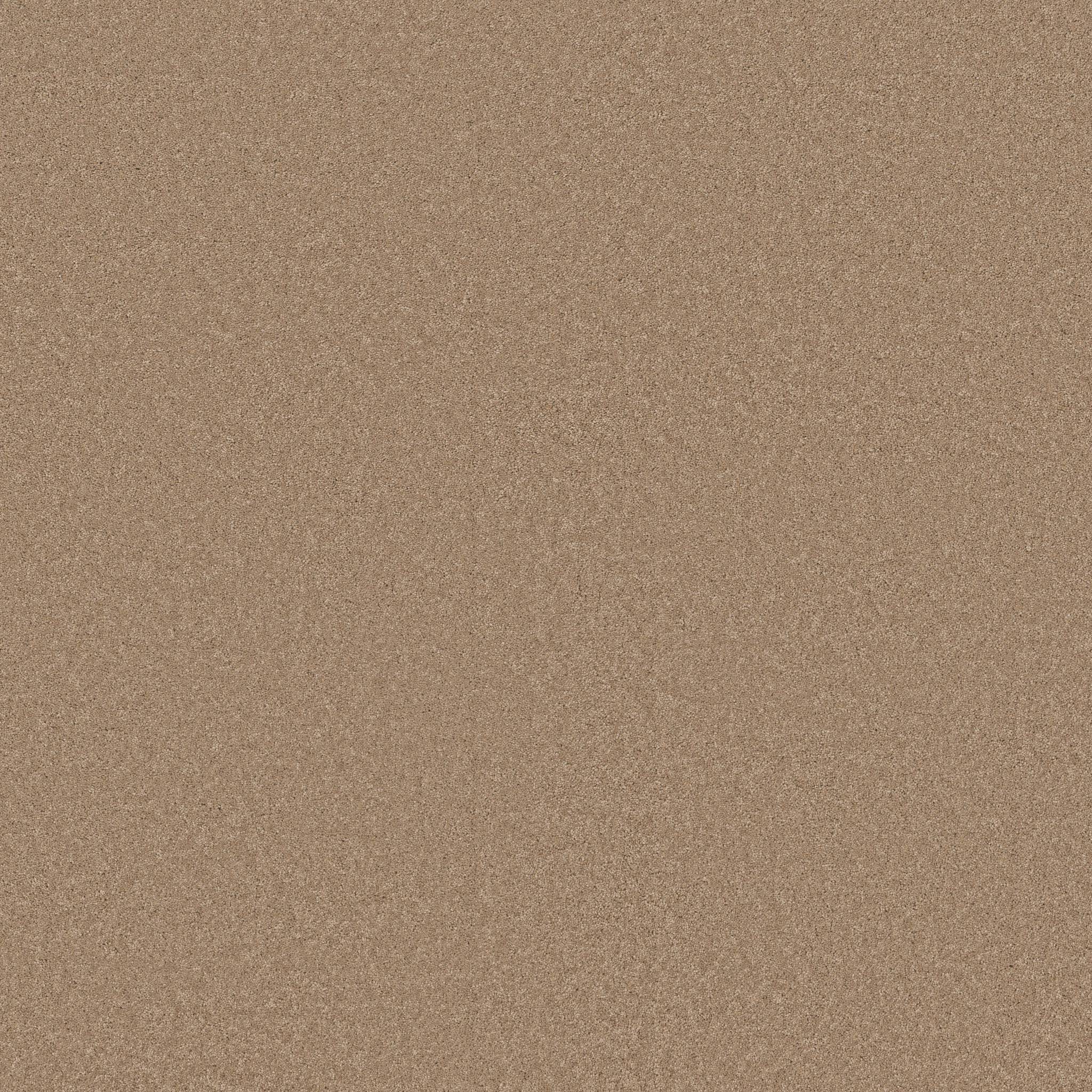 Enduring Charm Carpet - Natural Zoomed Swatch Image