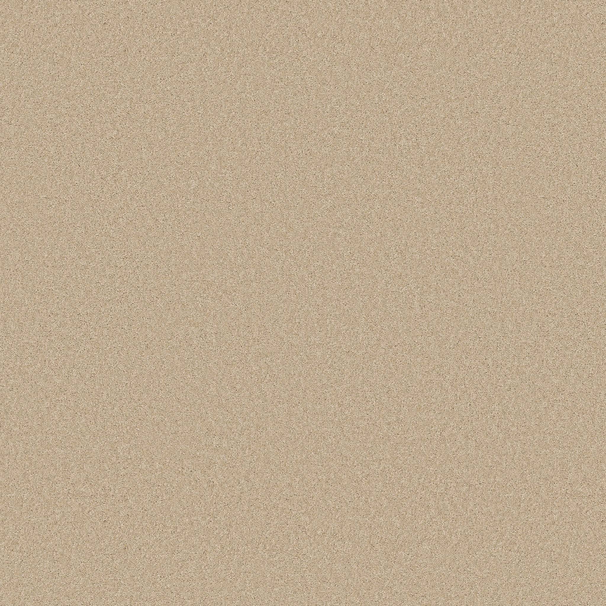 Enduring Charm Carpet - Papyrus Zoomed Swatch Image
