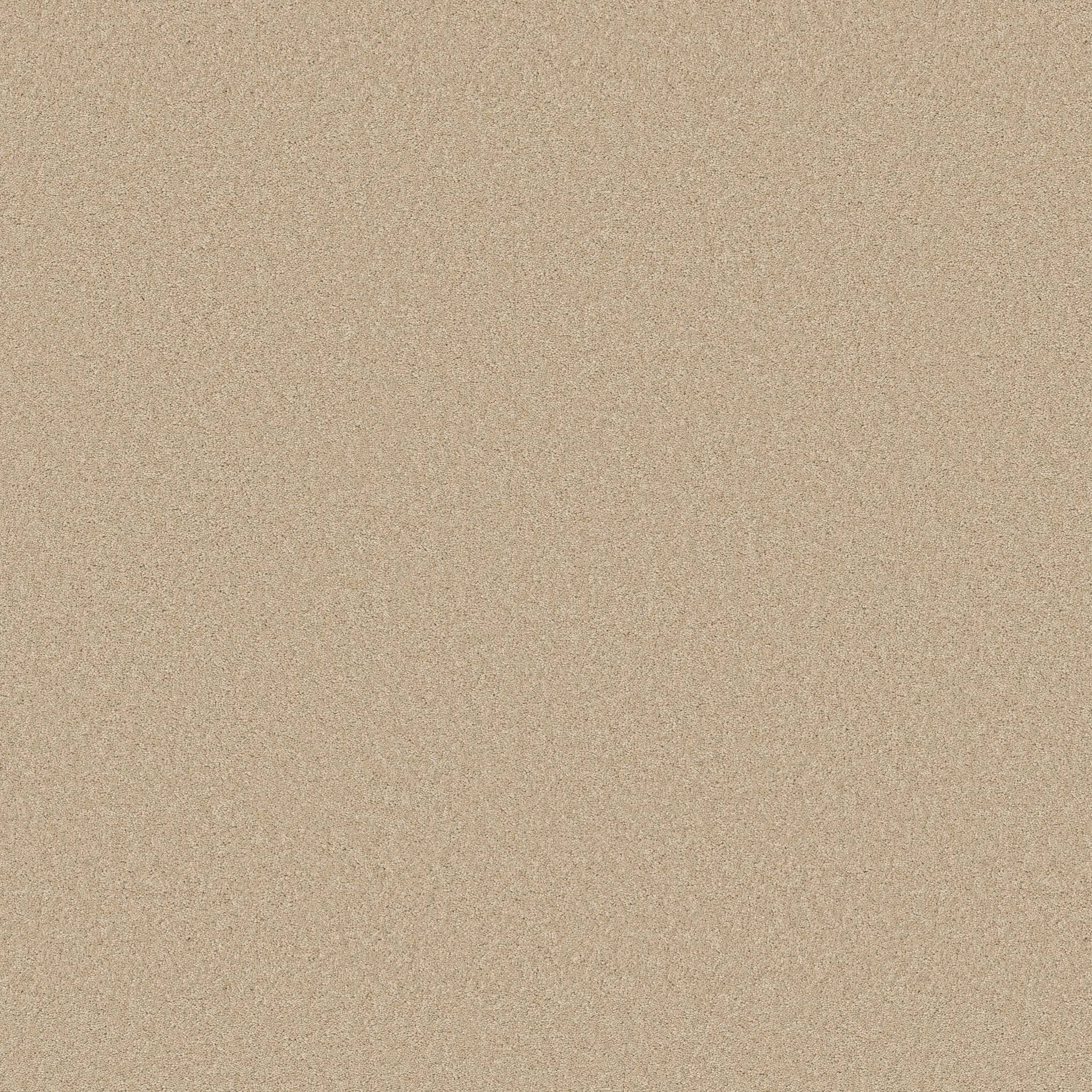 Enduring Charm Carpet - Papyrus Zoomed Swatch Image