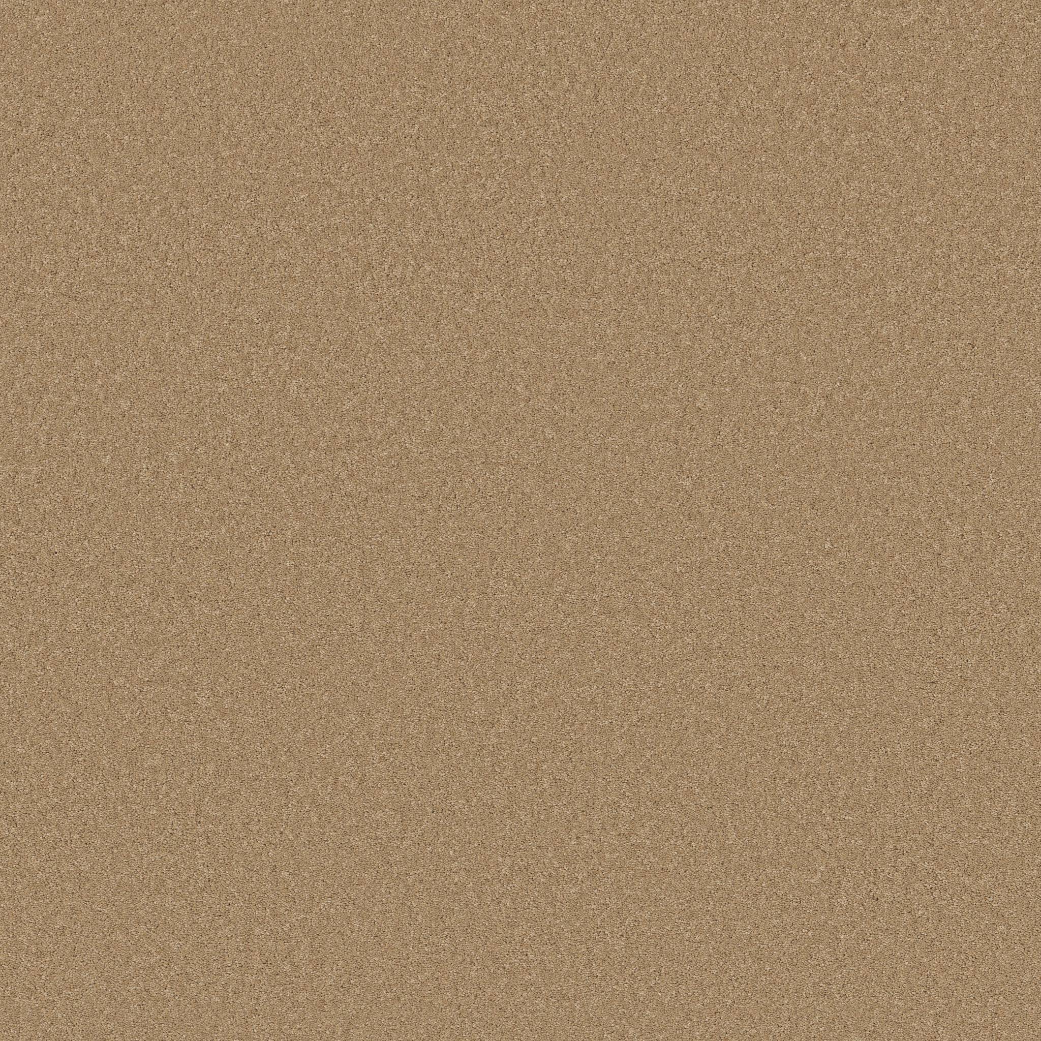 Enduring Charm Carpet - Winter Wheat Zoomed Swatch Image