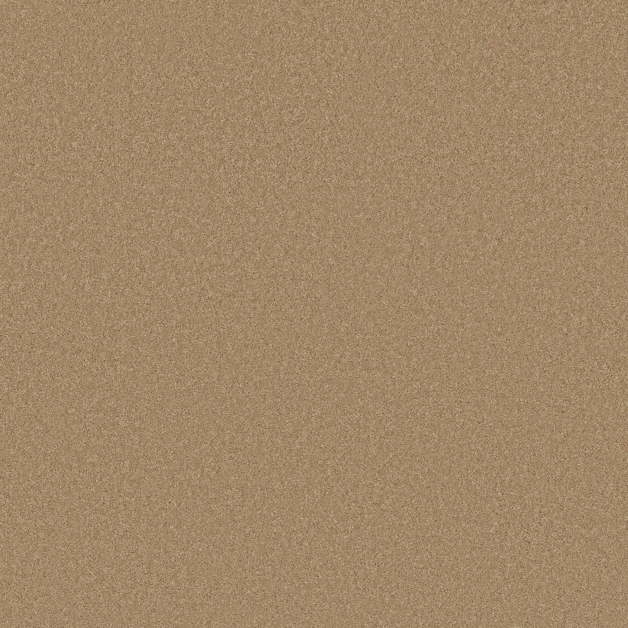 Enduring Charm Carpet - Winter Wheat Zoomed Swatch Image