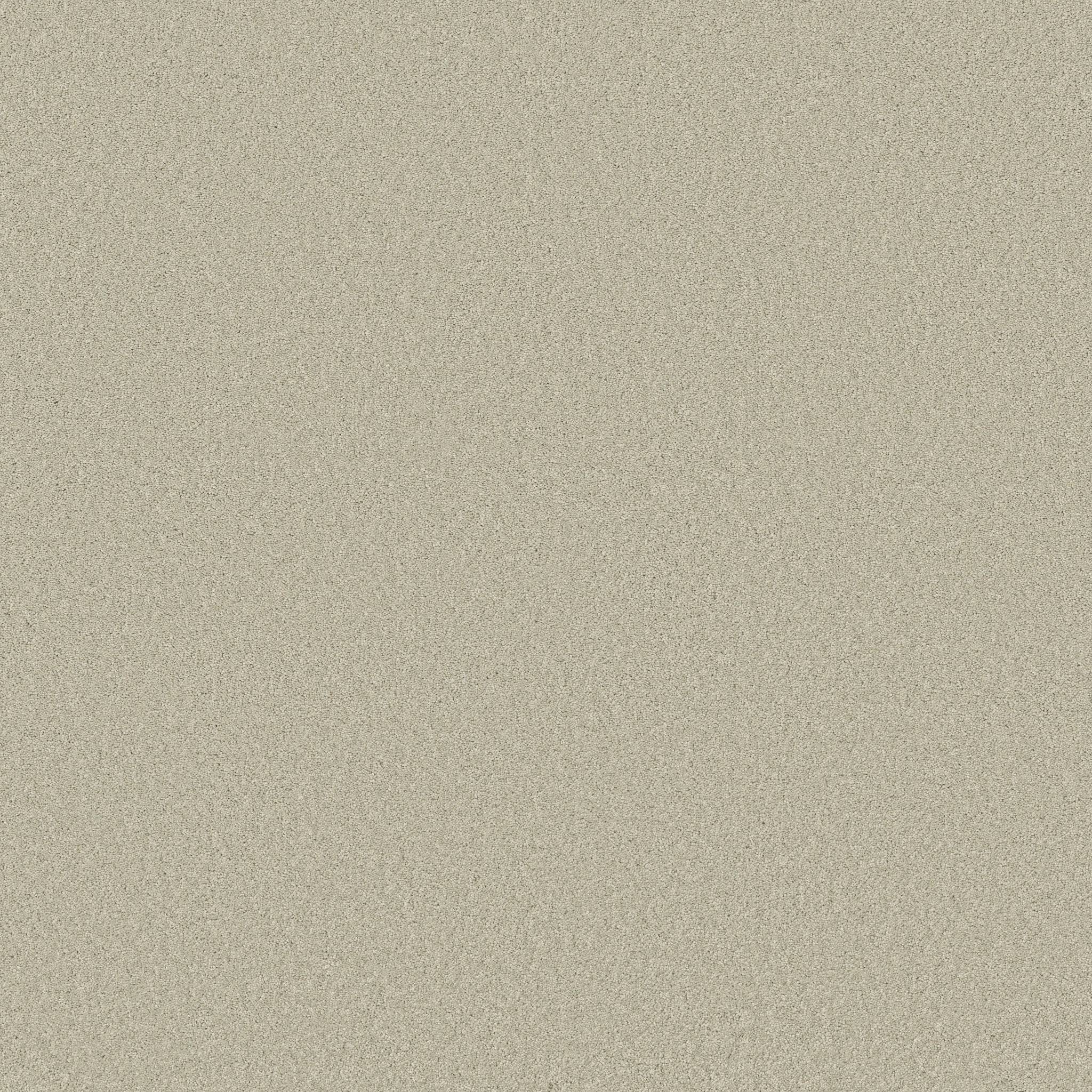 Enduring Charm Carpet - Aloe Wash Zoomed Swatch Image
