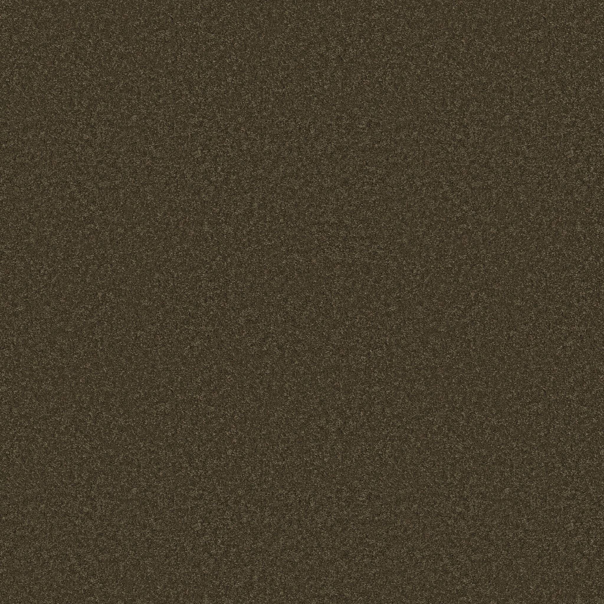 Enduring Charm Carpet - Dark Olive Zoomed Swatch Image