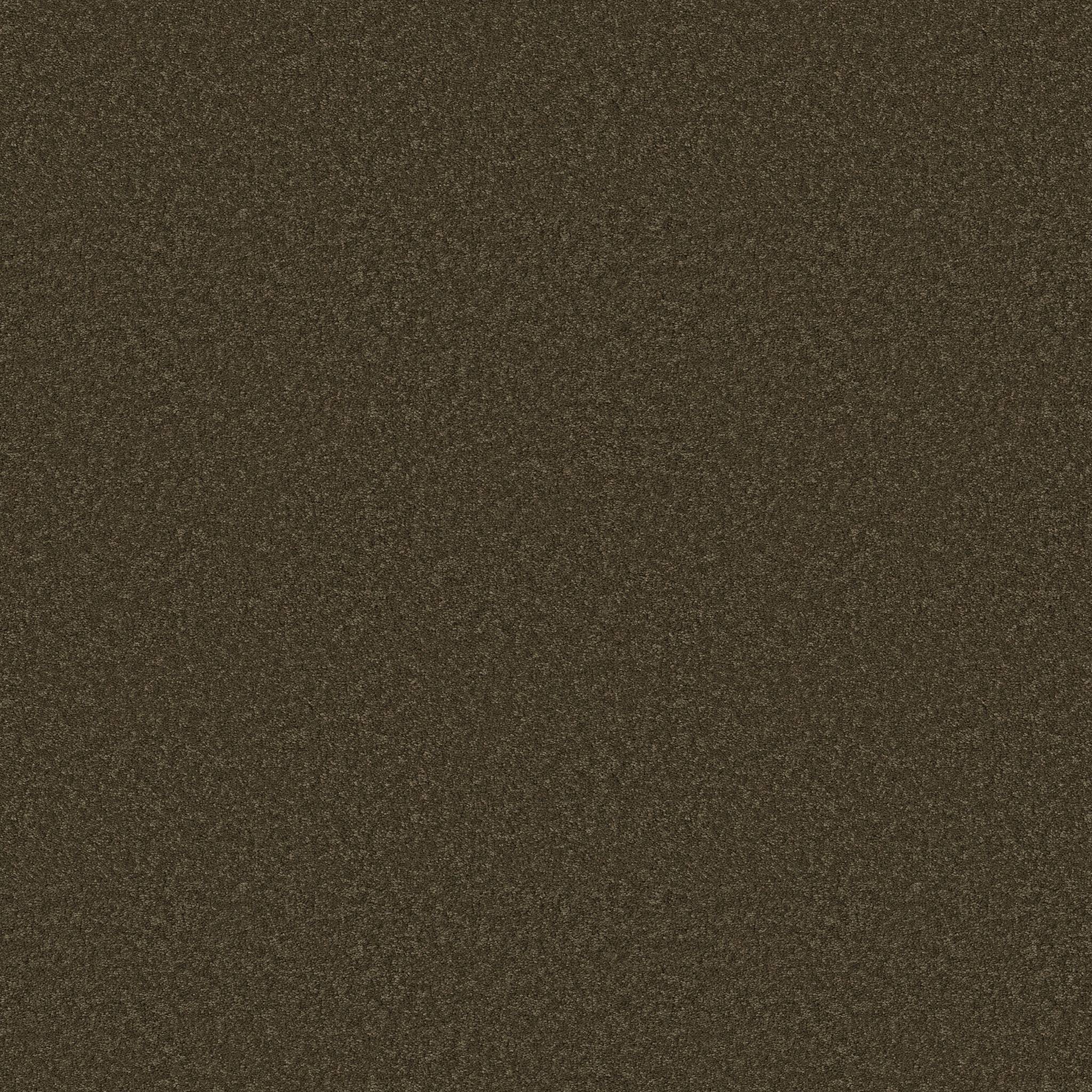 Enduring Charm Carpet - Dark Olive Zoomed Swatch Image